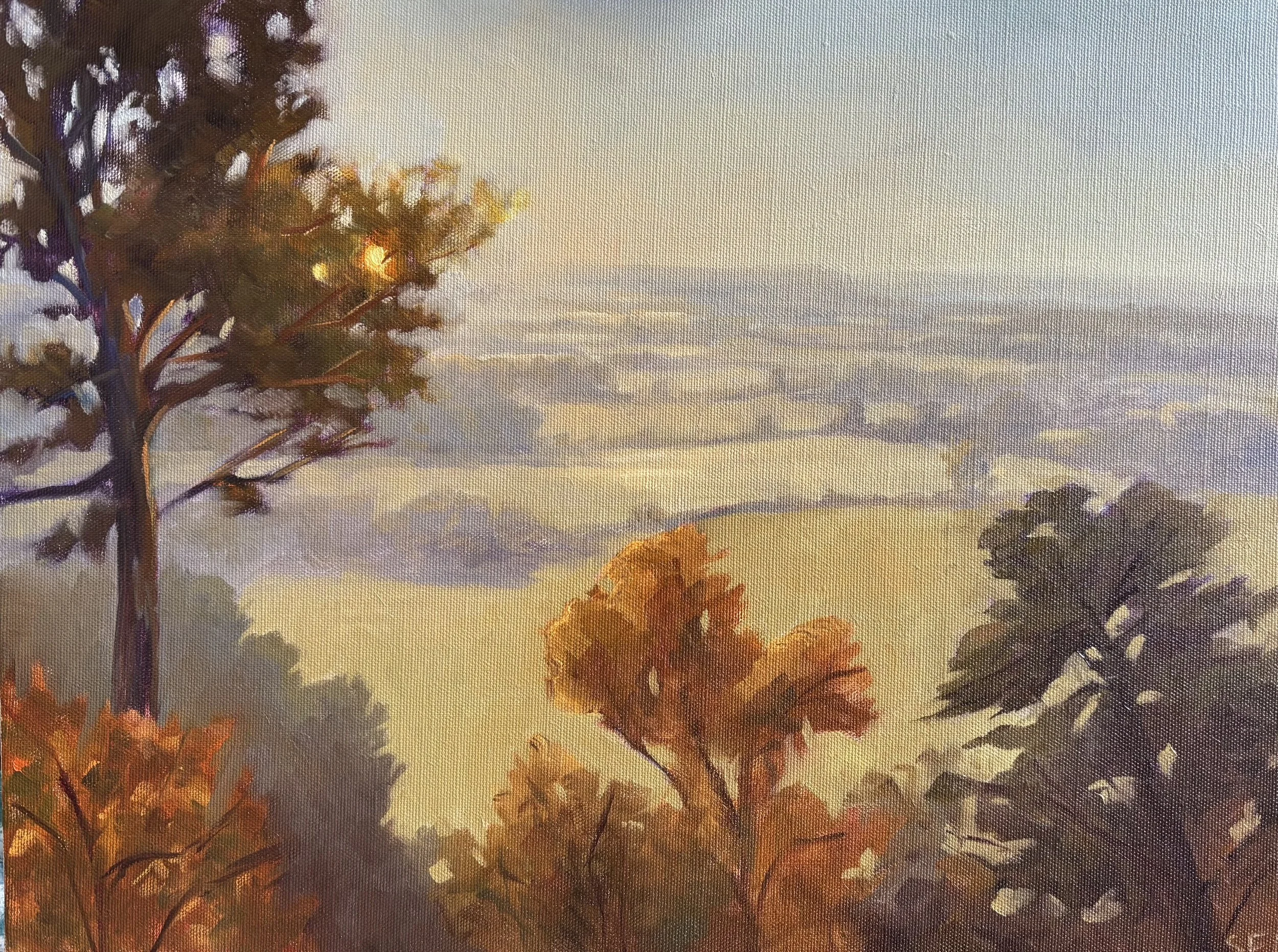 corbett wood.jpg