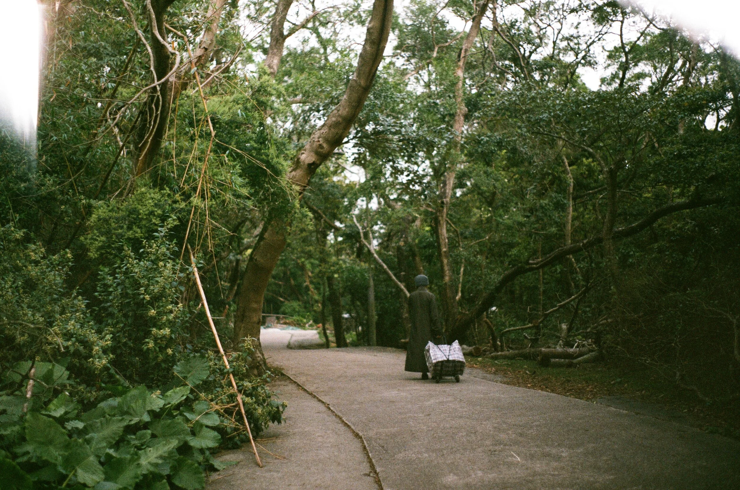 000195470184.jpg