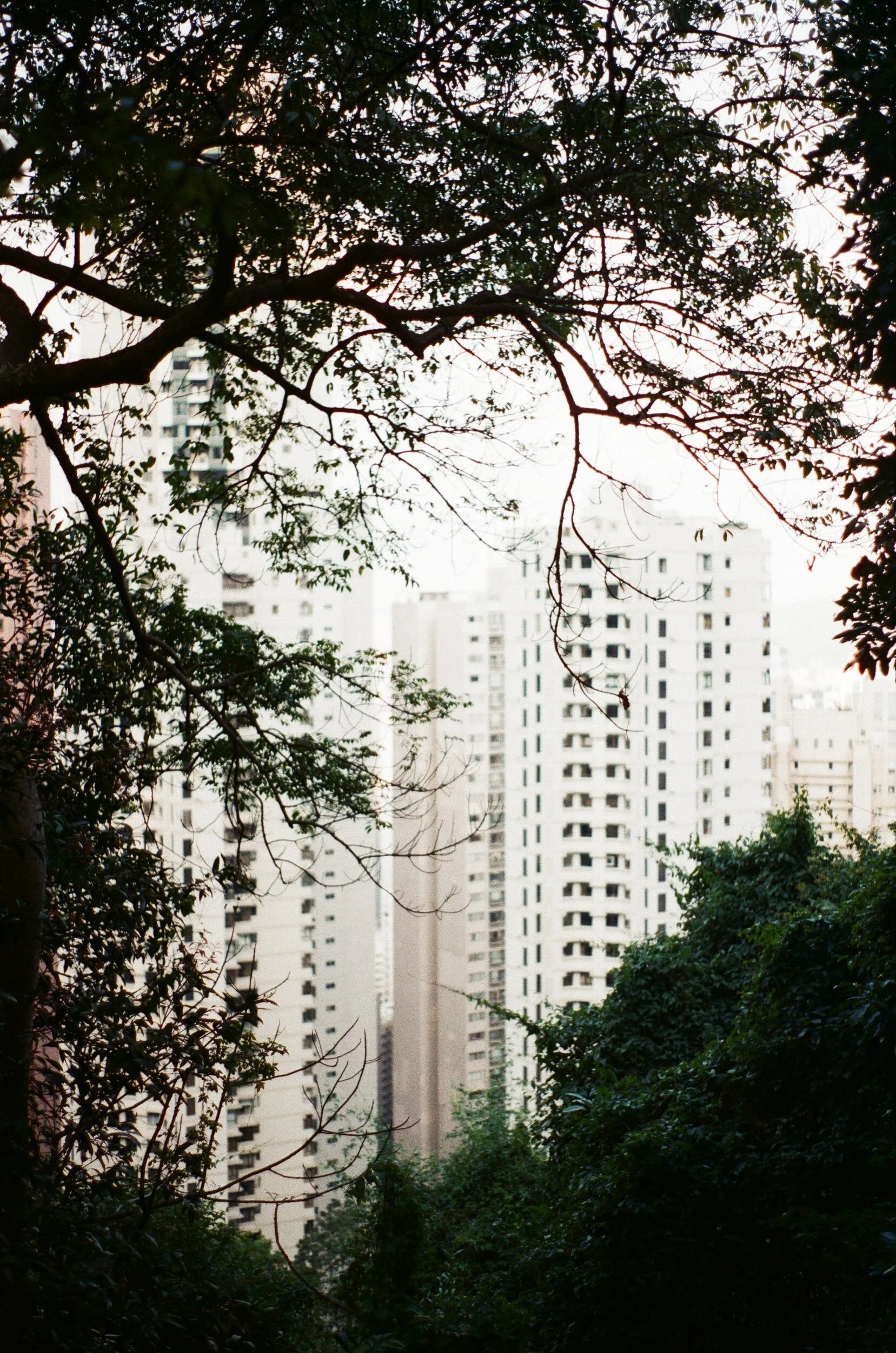 000195520021.jpg