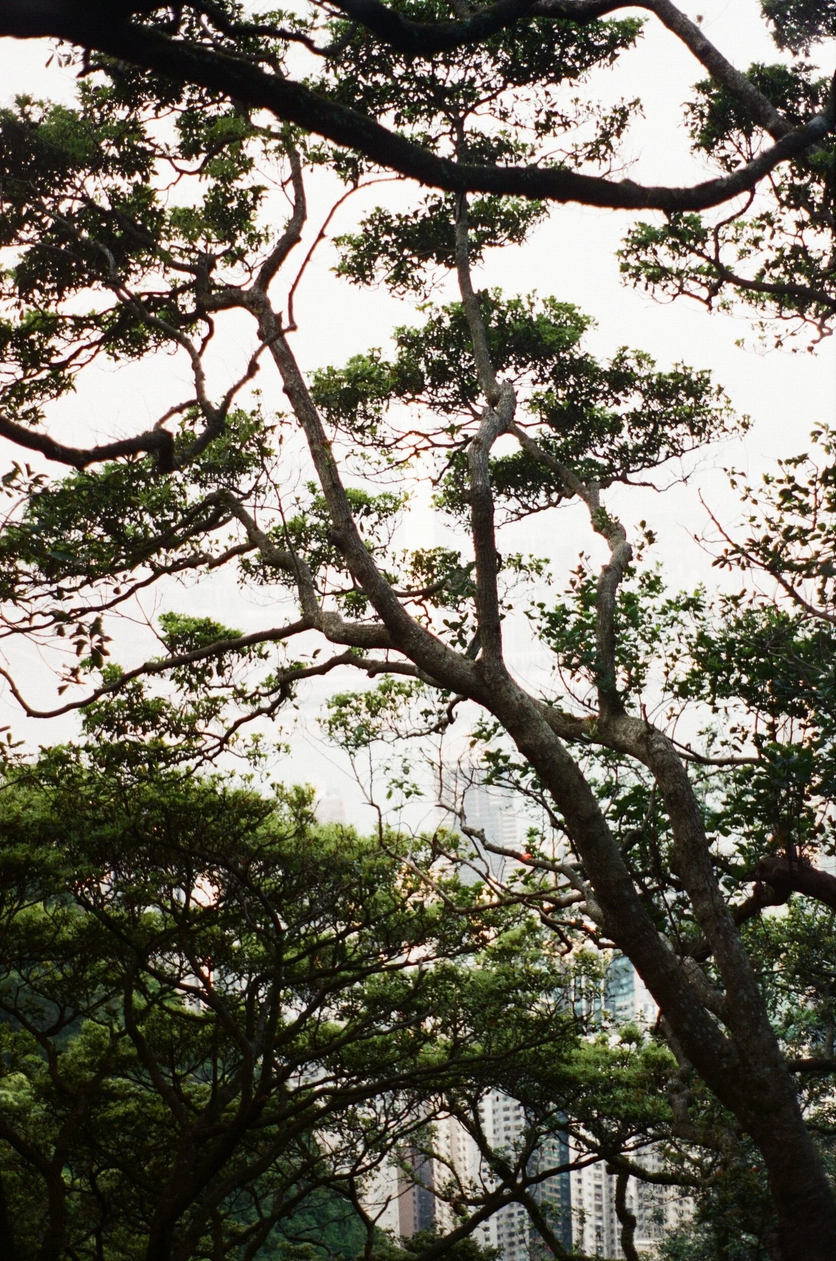 000195520018.jpg