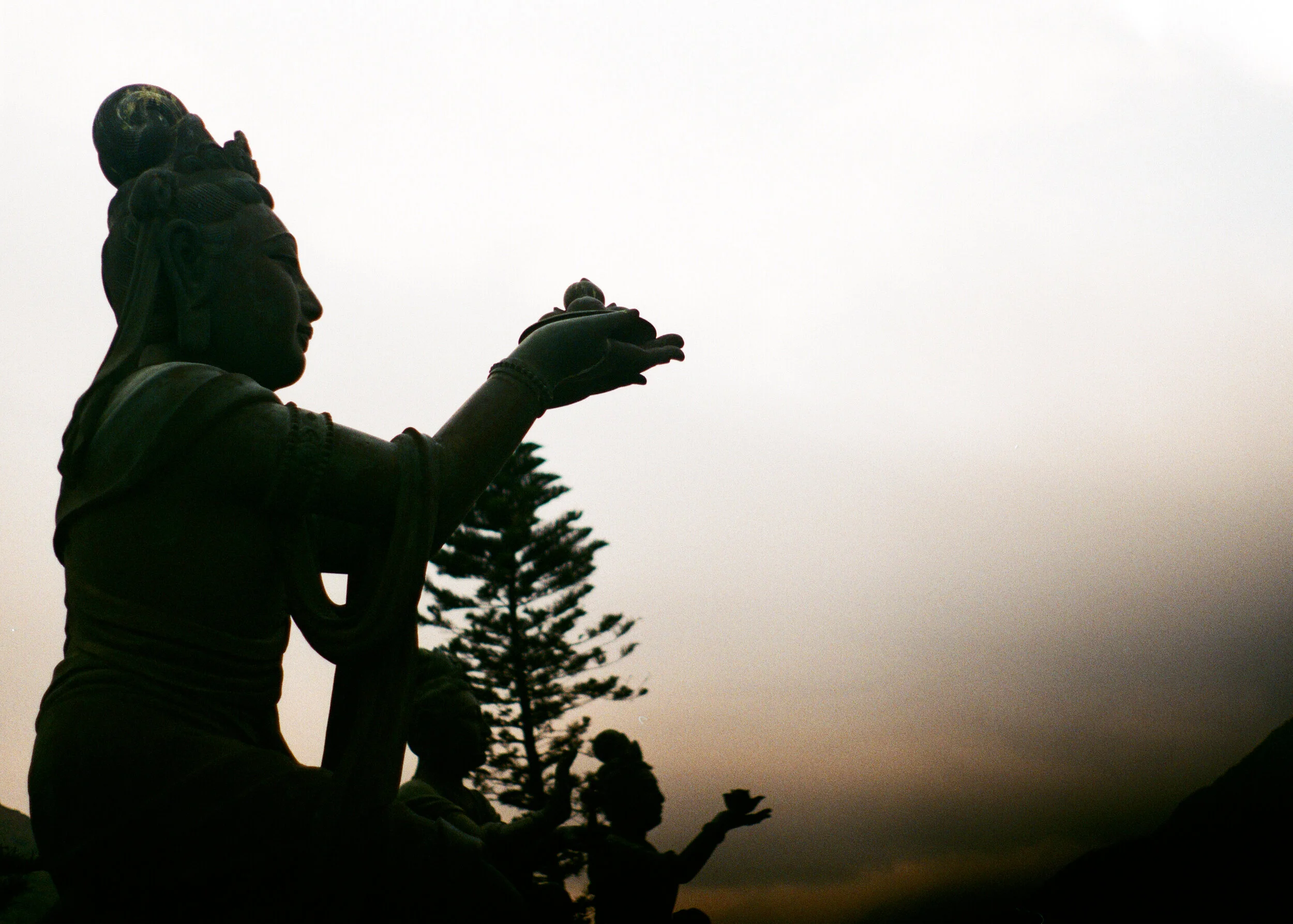 Untitled-14.jpg