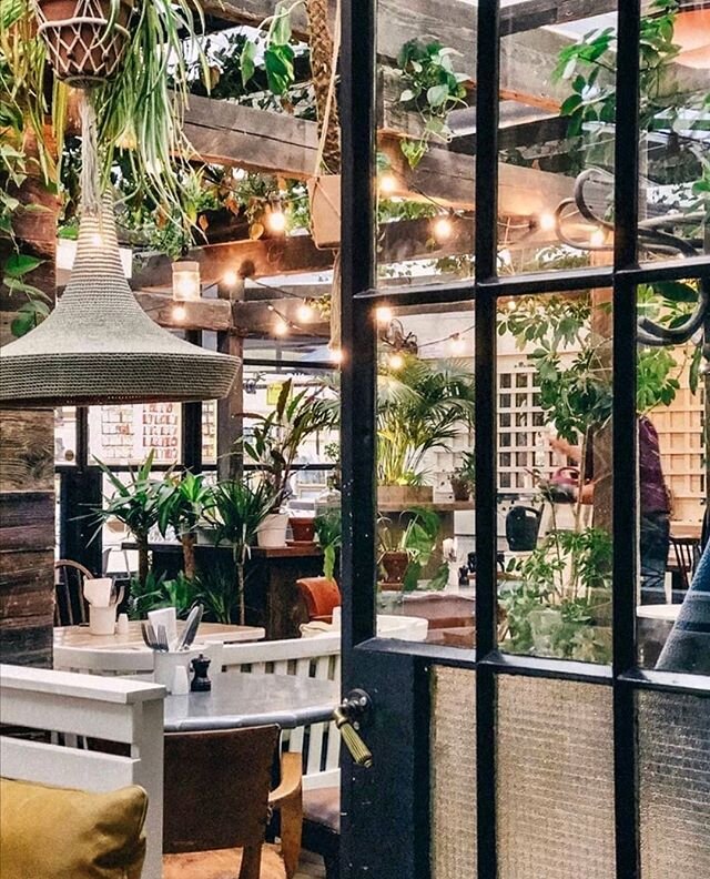 The garden green interiors of @blixenlondon are as well recognised as their delicious brunch plates.
You can still find this Spitalfields gem on D&eacute;j&agrave; Vu and Favourite it for when the time is right. Download the app via the link in the b