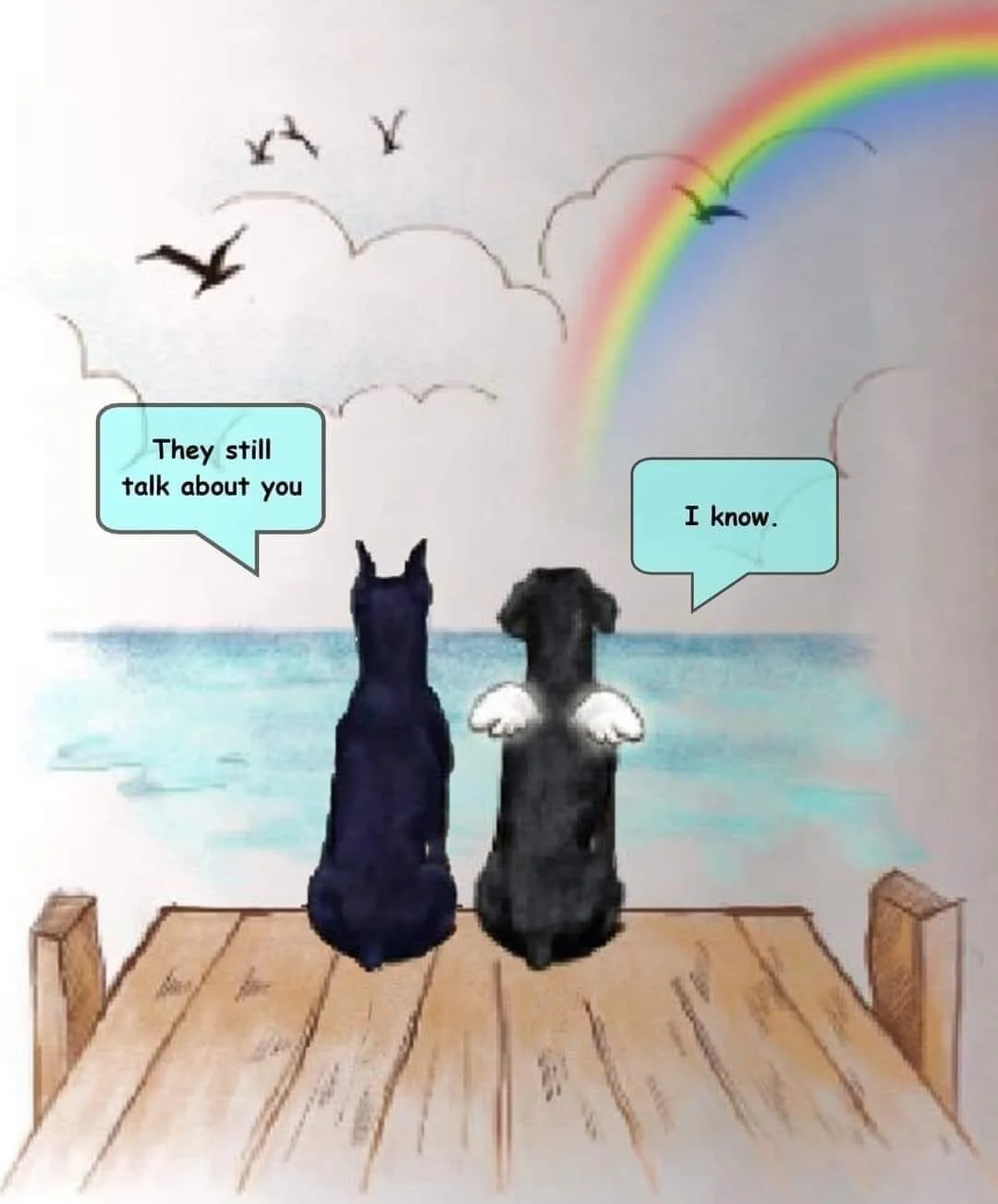 Chauncey: More Than “Just a Dog”