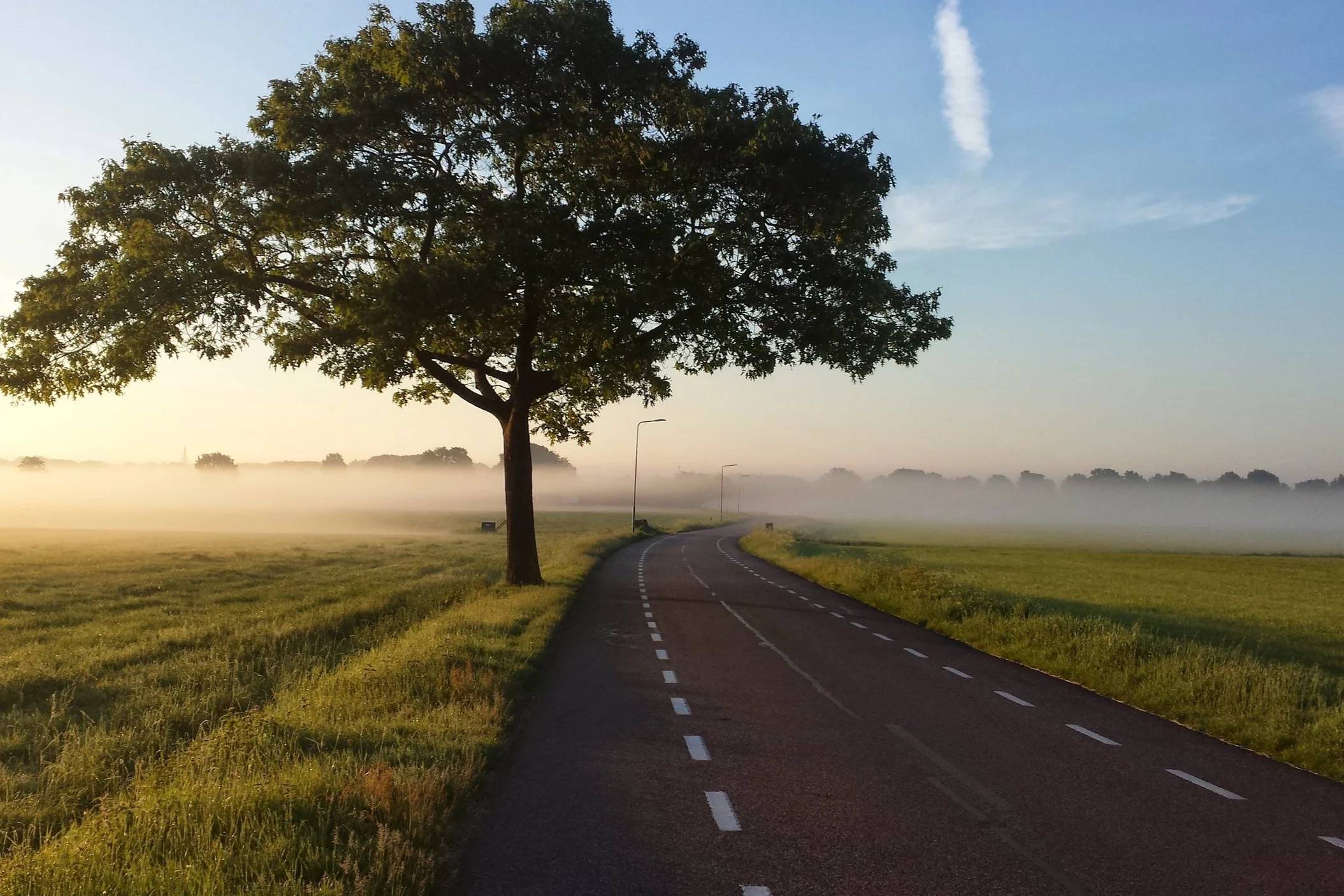 All roads lead home.