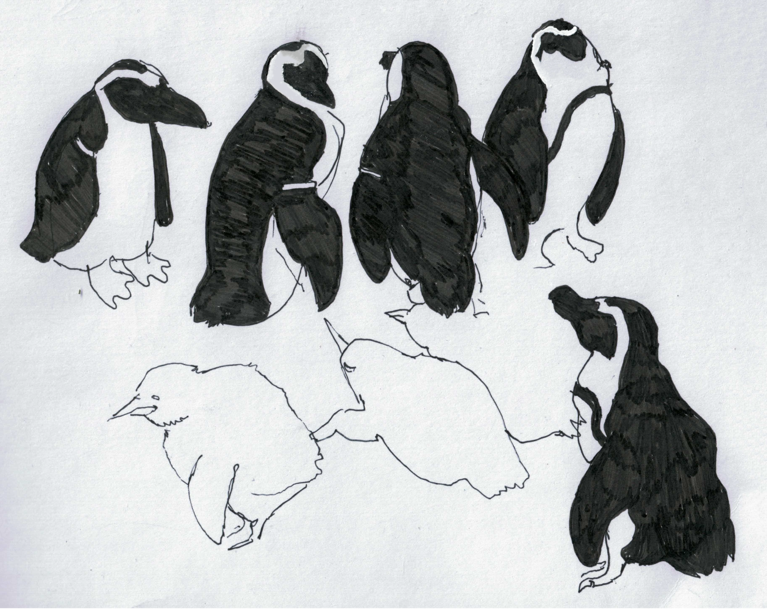 penguins.png