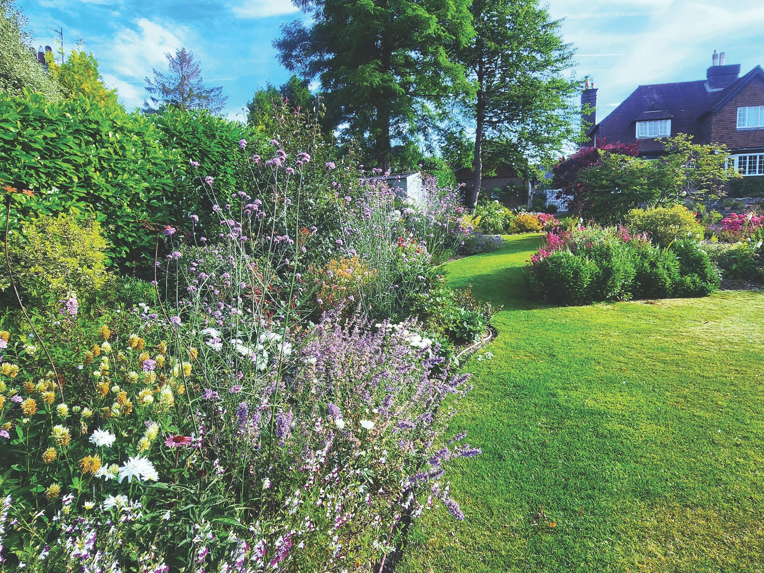 Mixed Borders