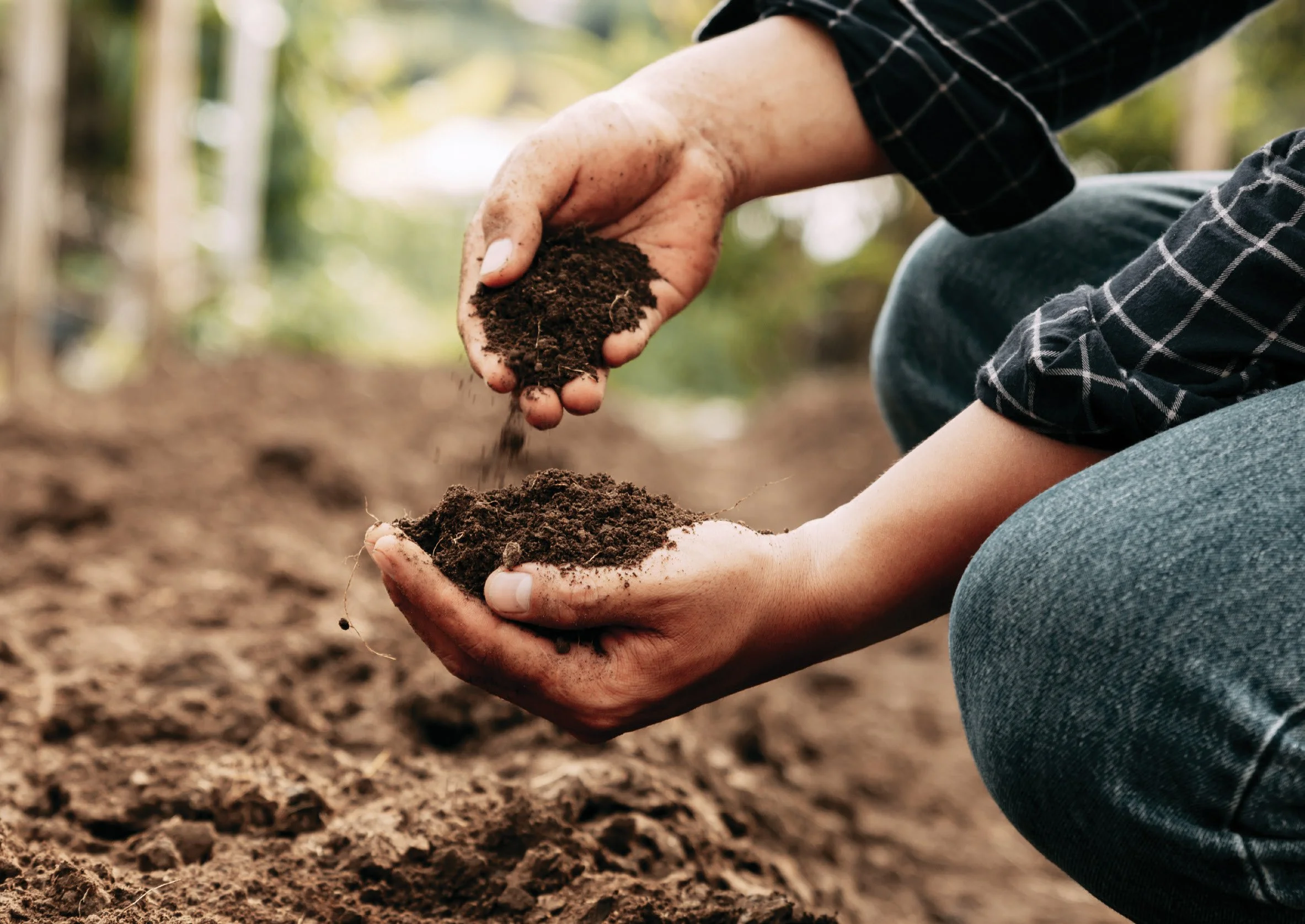 The Healing Power of Gardening