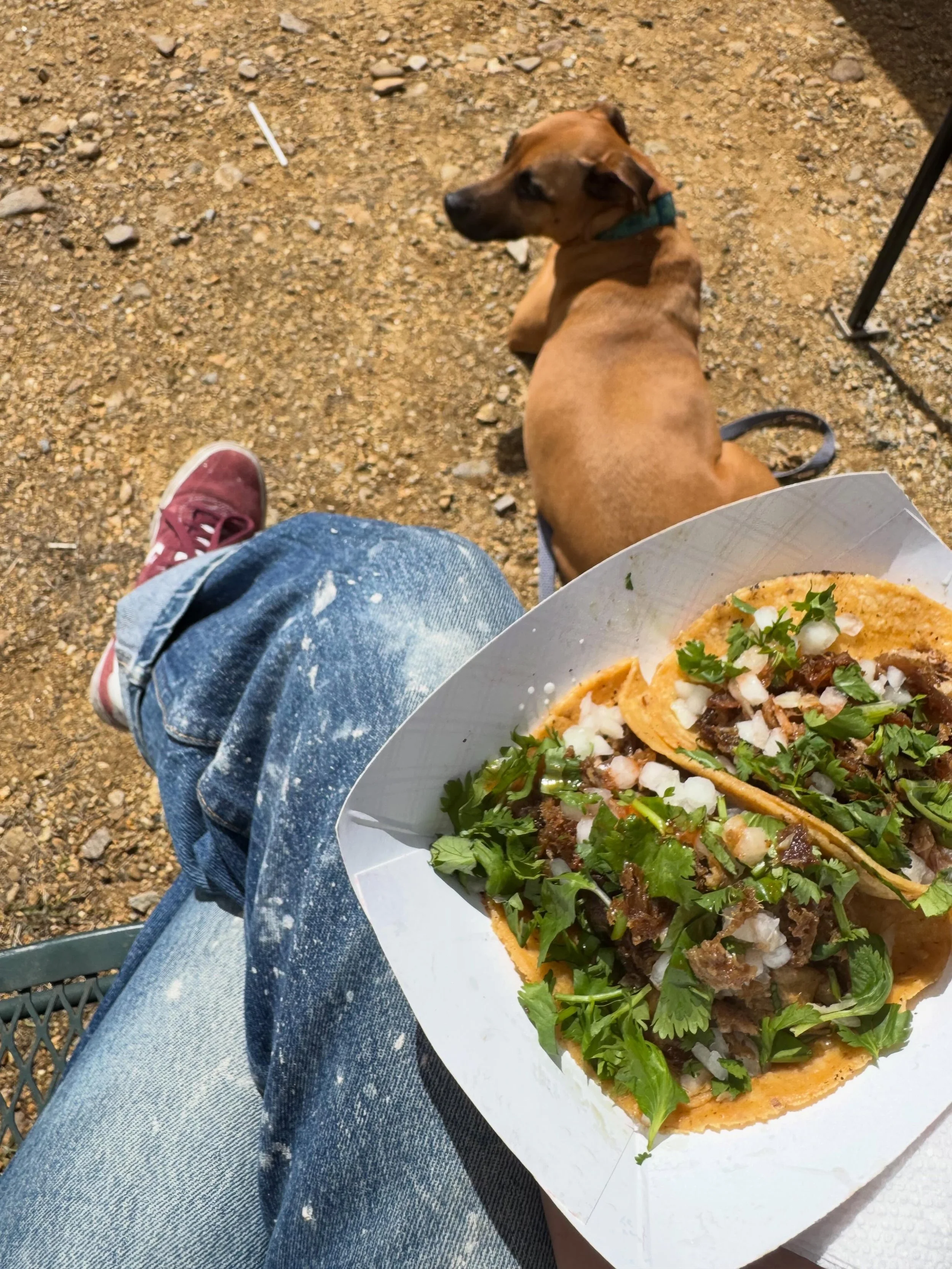 The BEST day date with your bestie is @brimfield_antique_show eating tacos with us 🫶 Come for the tacos, stay for the show 🎪 
.
.
Find us @brimfield_antique_show across the street from @nemotel_antiqueshow at 35 Palmer Road in Brimfield, all week! 