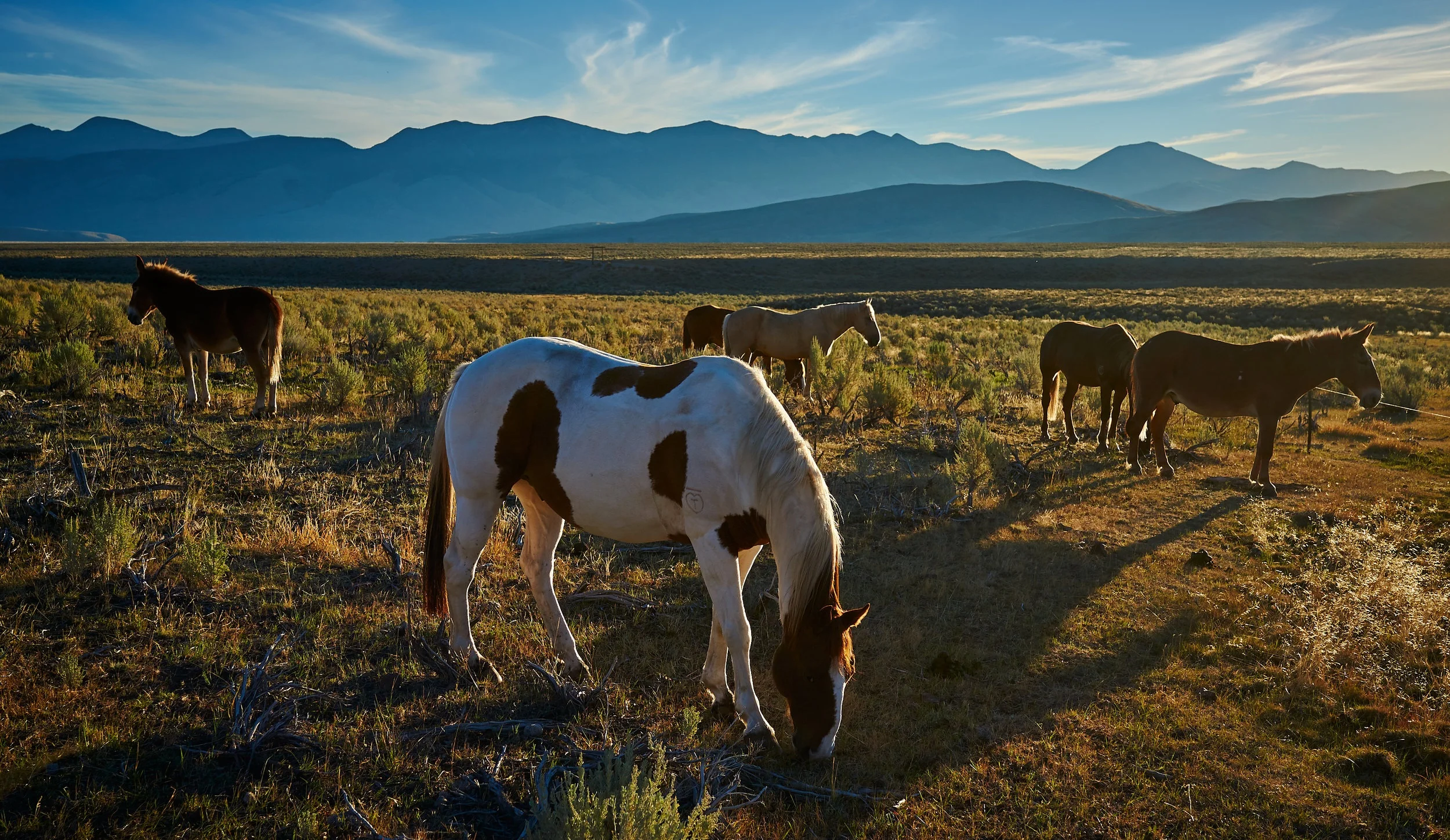 Welcome to Small Town, America