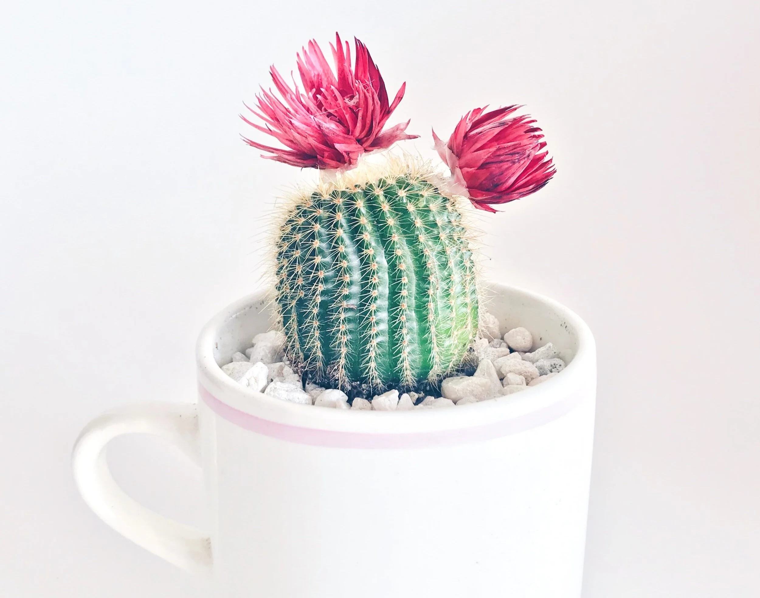 Wait, the Bible says that?