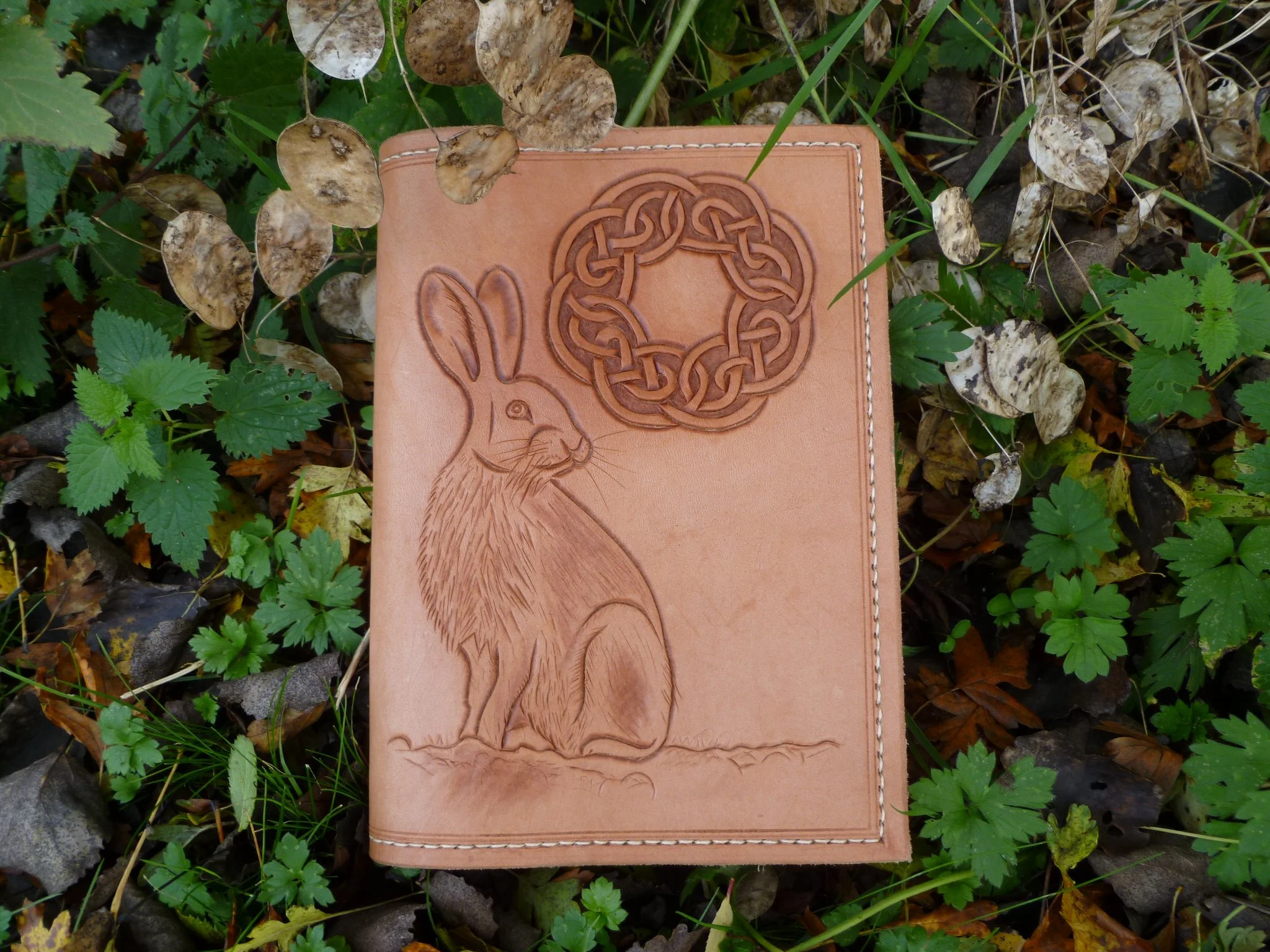 Moon Hare A5 First.JPG
