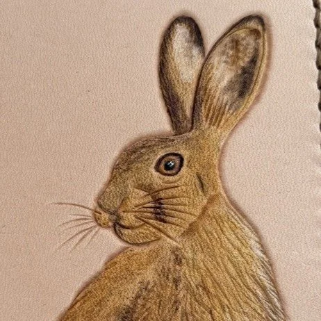 Wild Hare Close-up.jpg Close-up of wild brown hare, head and shoulders, looking over its shoulder.