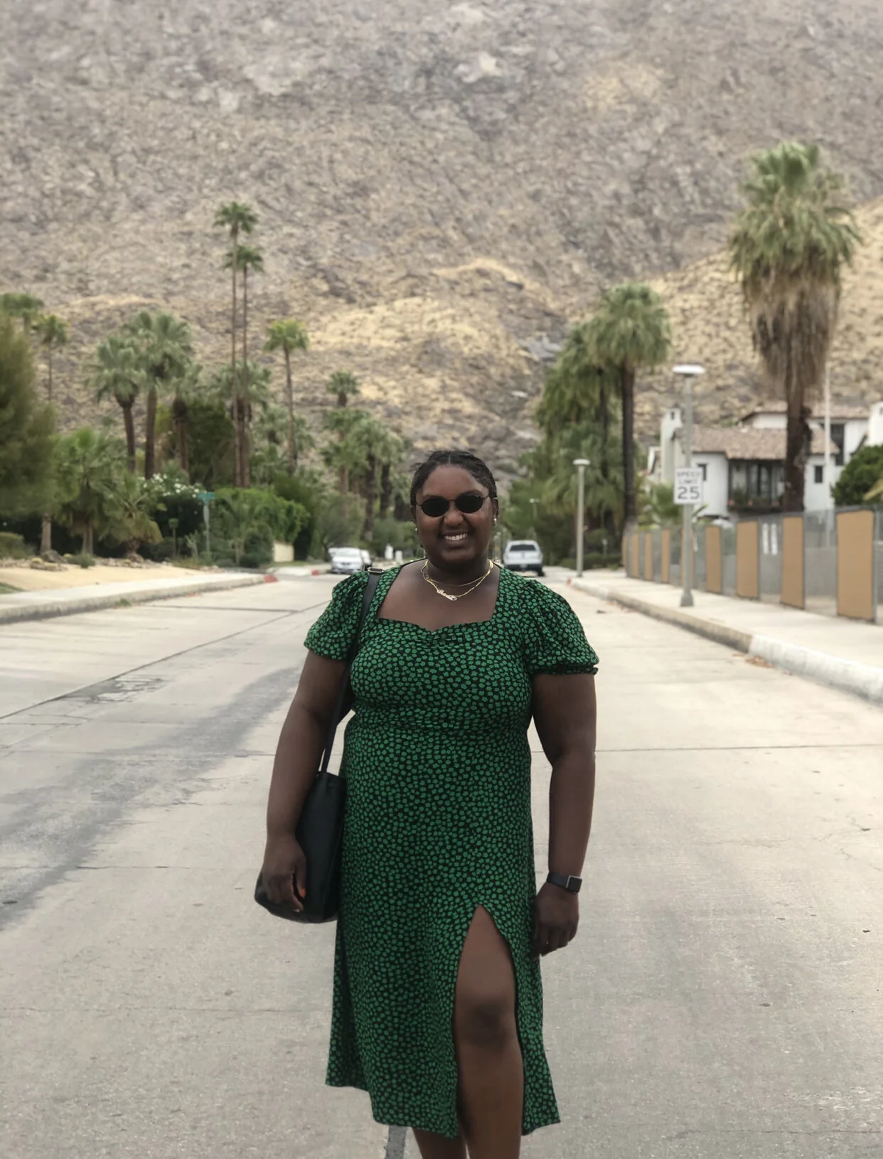 2 Days in Palm Springs
