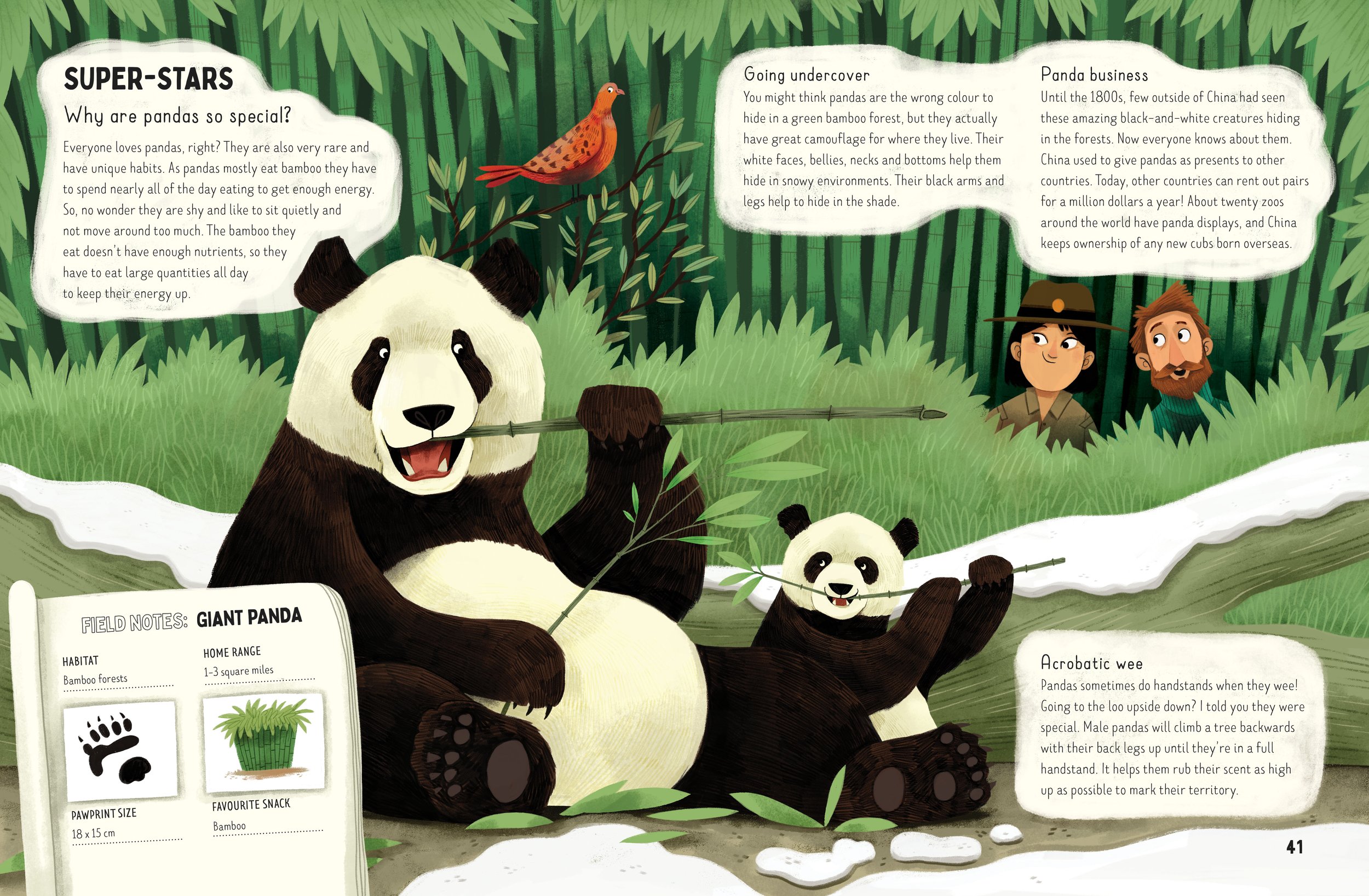 Bears-pandas.jpg