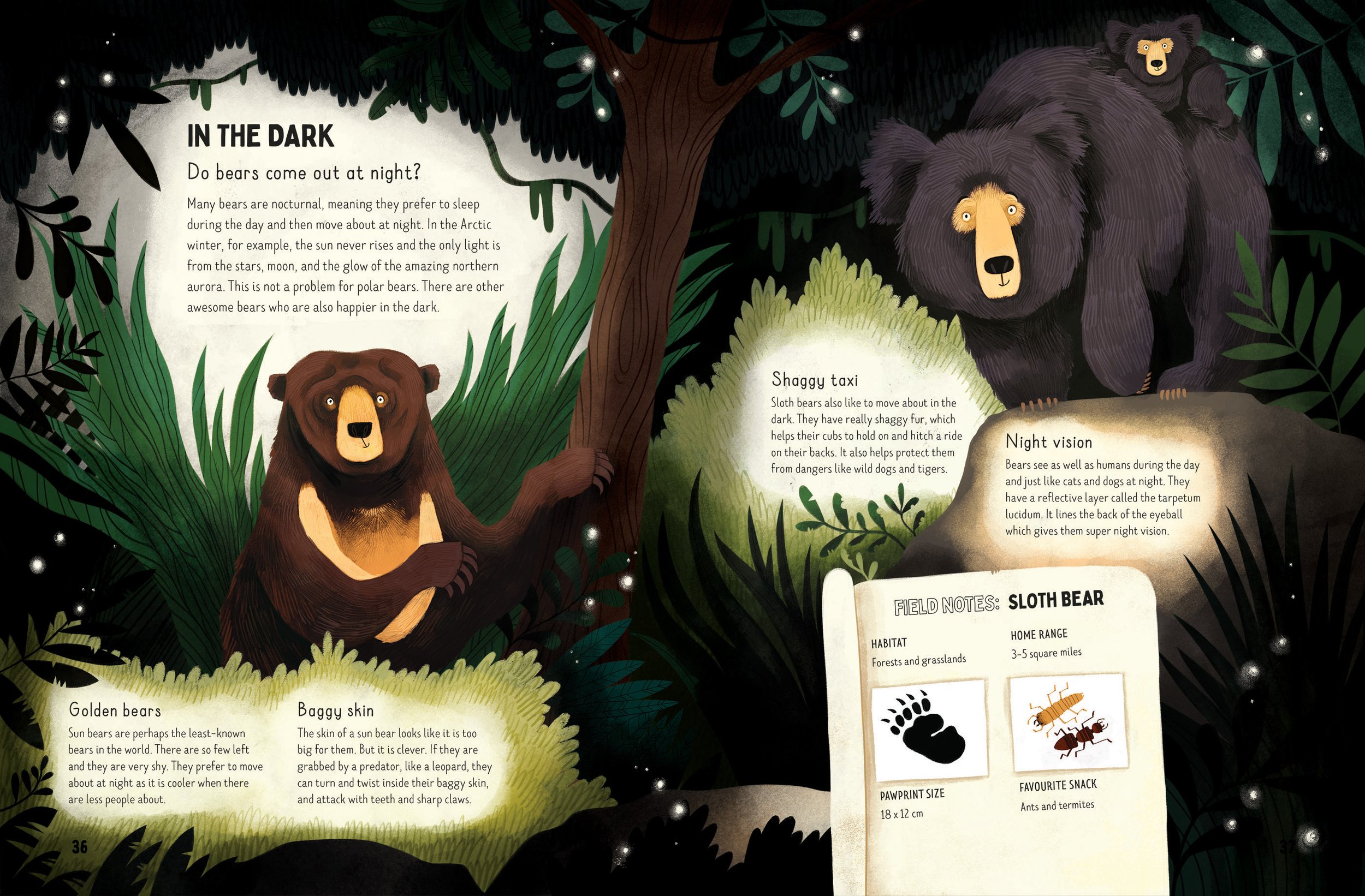 Bears-inthedark.jpg