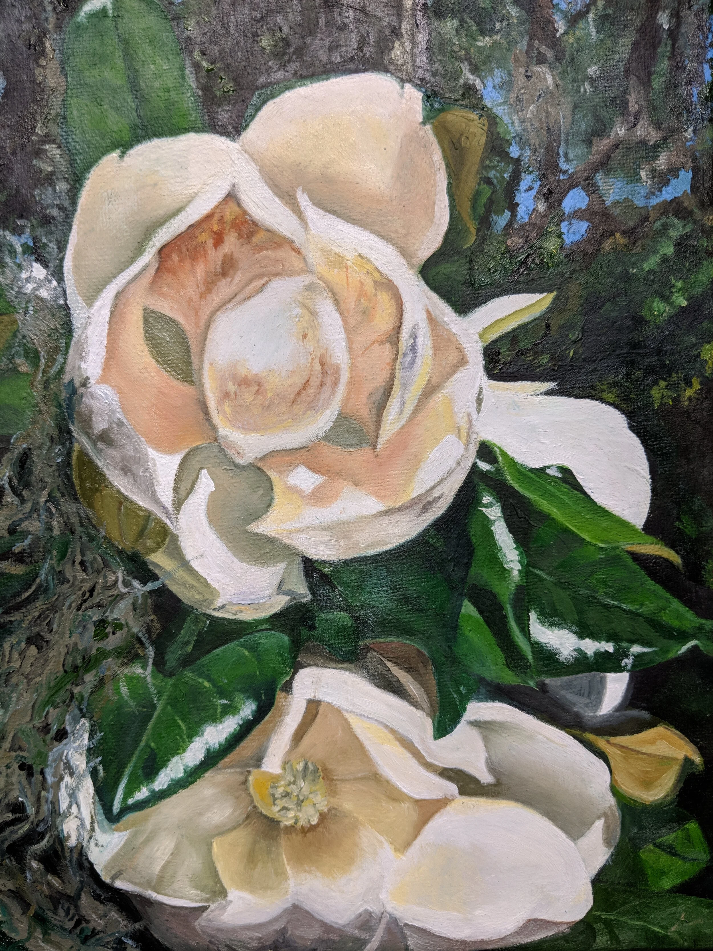 Magnolias and Moss