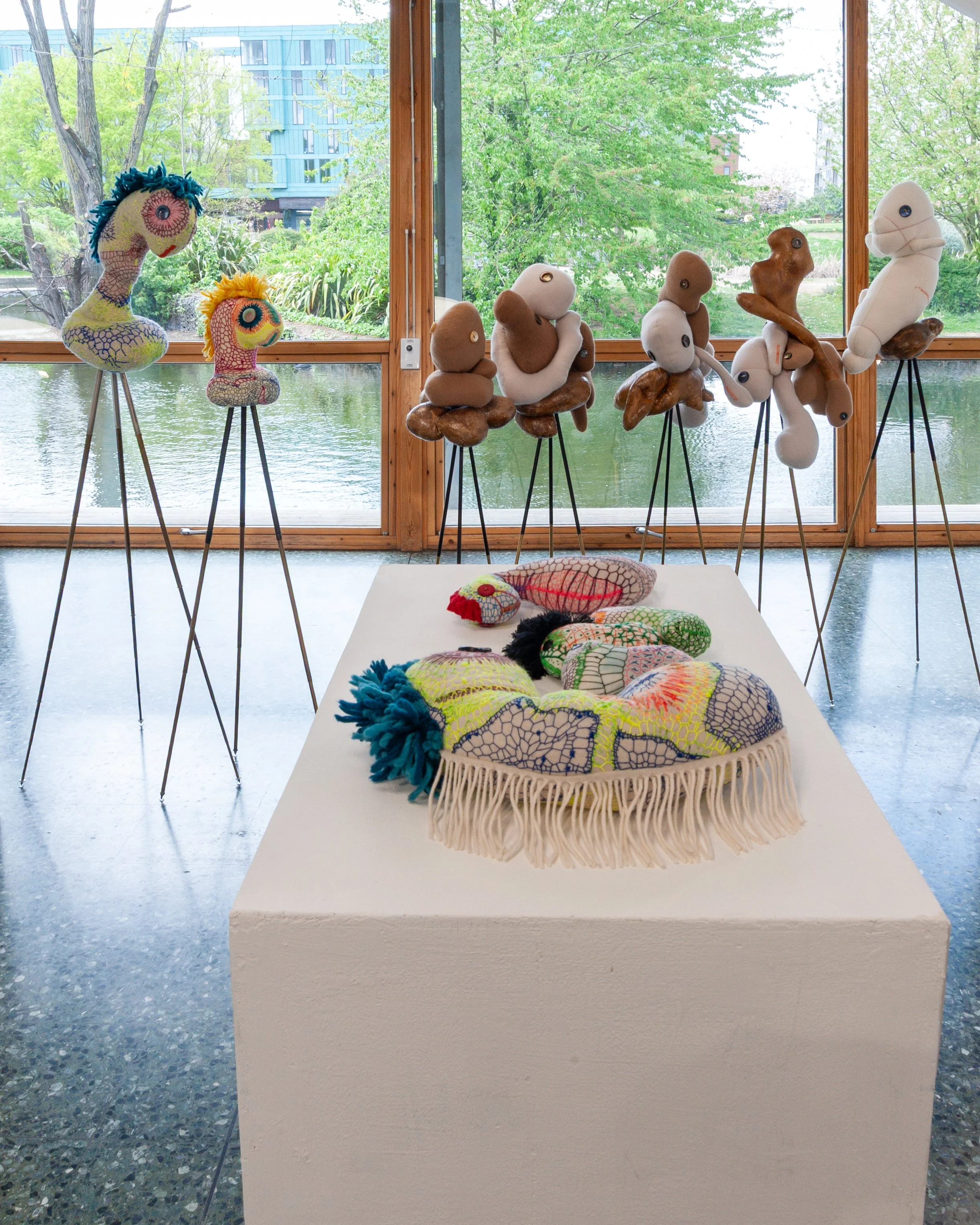 Installation view: Tribal Affiliation  & The Parade of Unnatural Offences