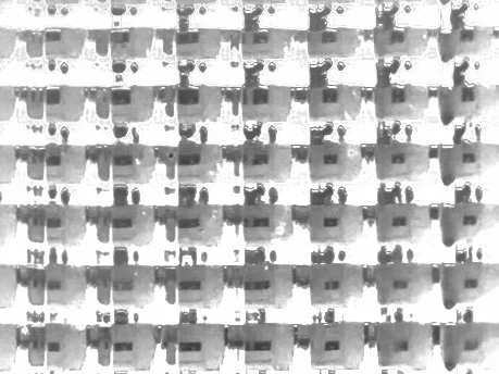 IMG_3227.jpeg
