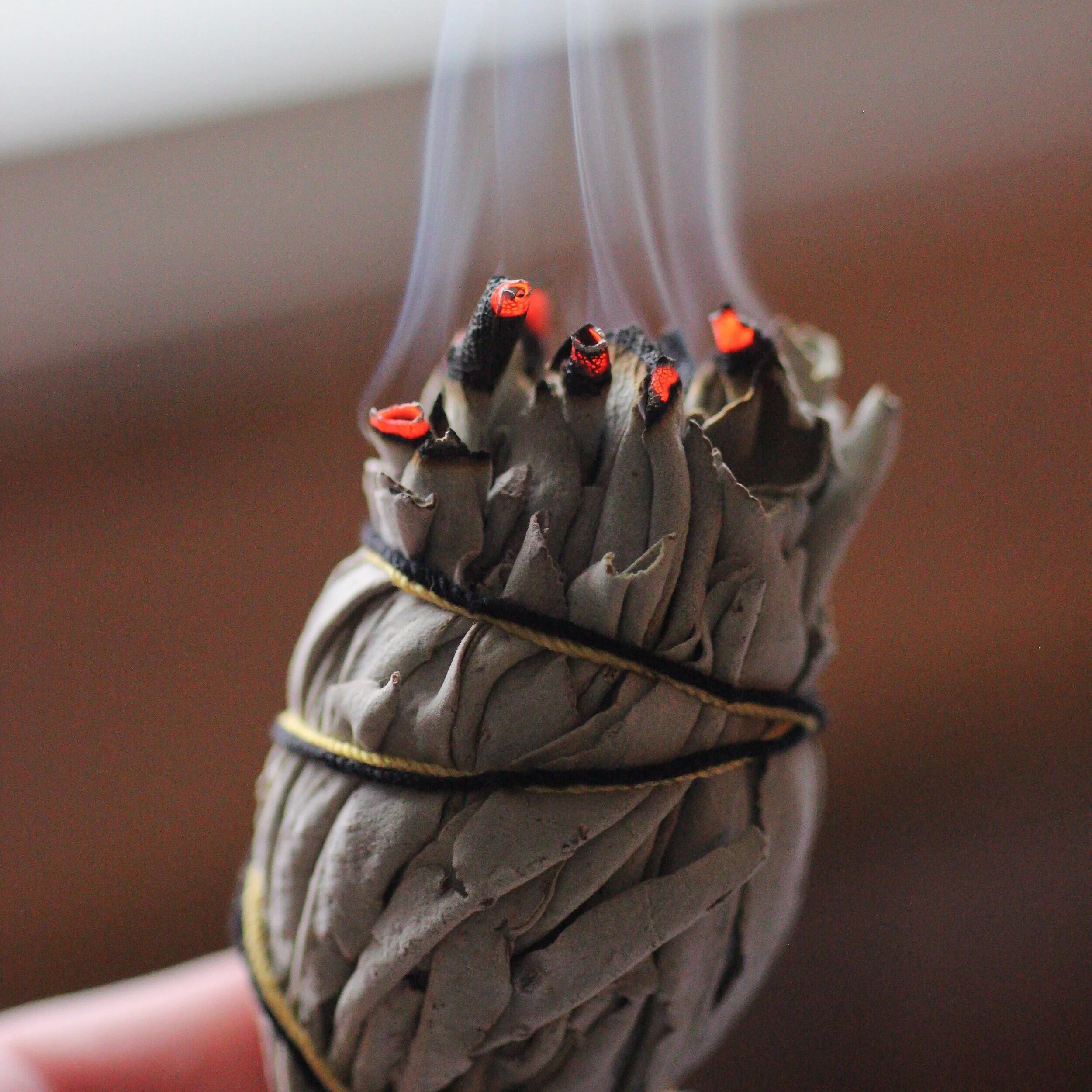 Burning Sage