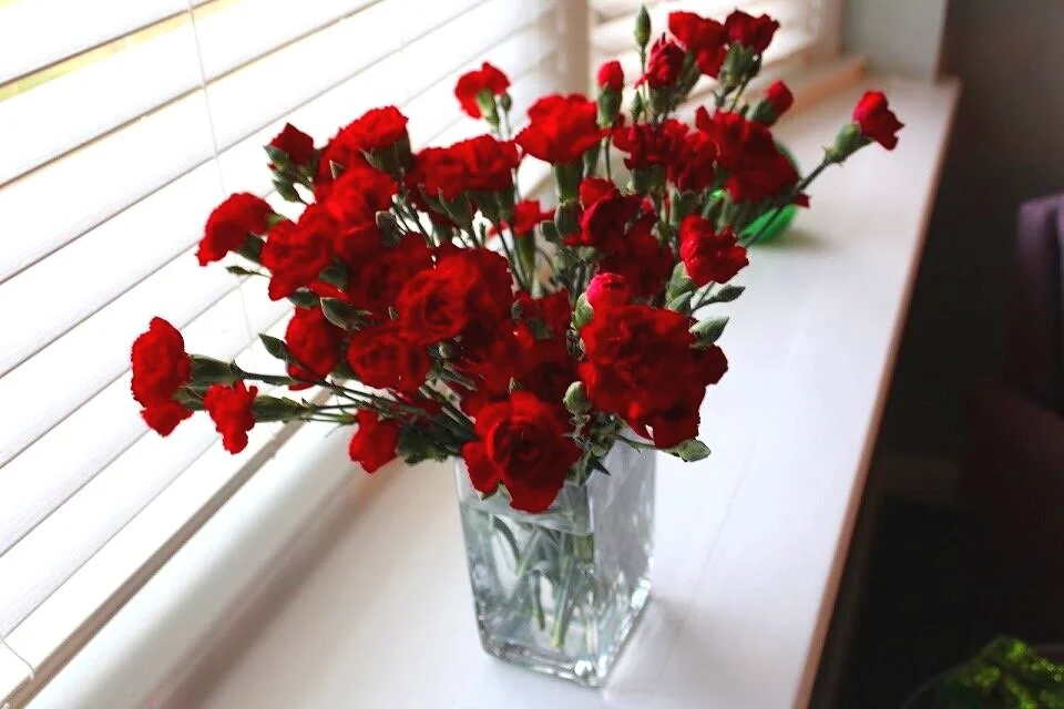 Floral Oasis: The Benefits Of Having Fresh Flowers In Your Home