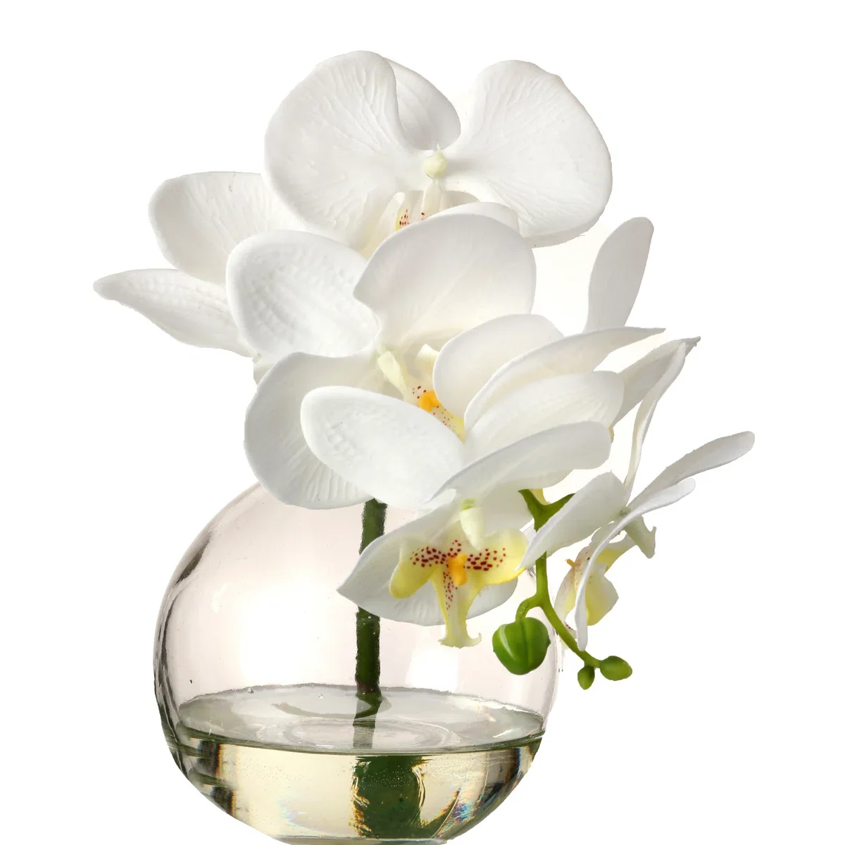 Orchid+Arrangement+in+Jar 2.webp