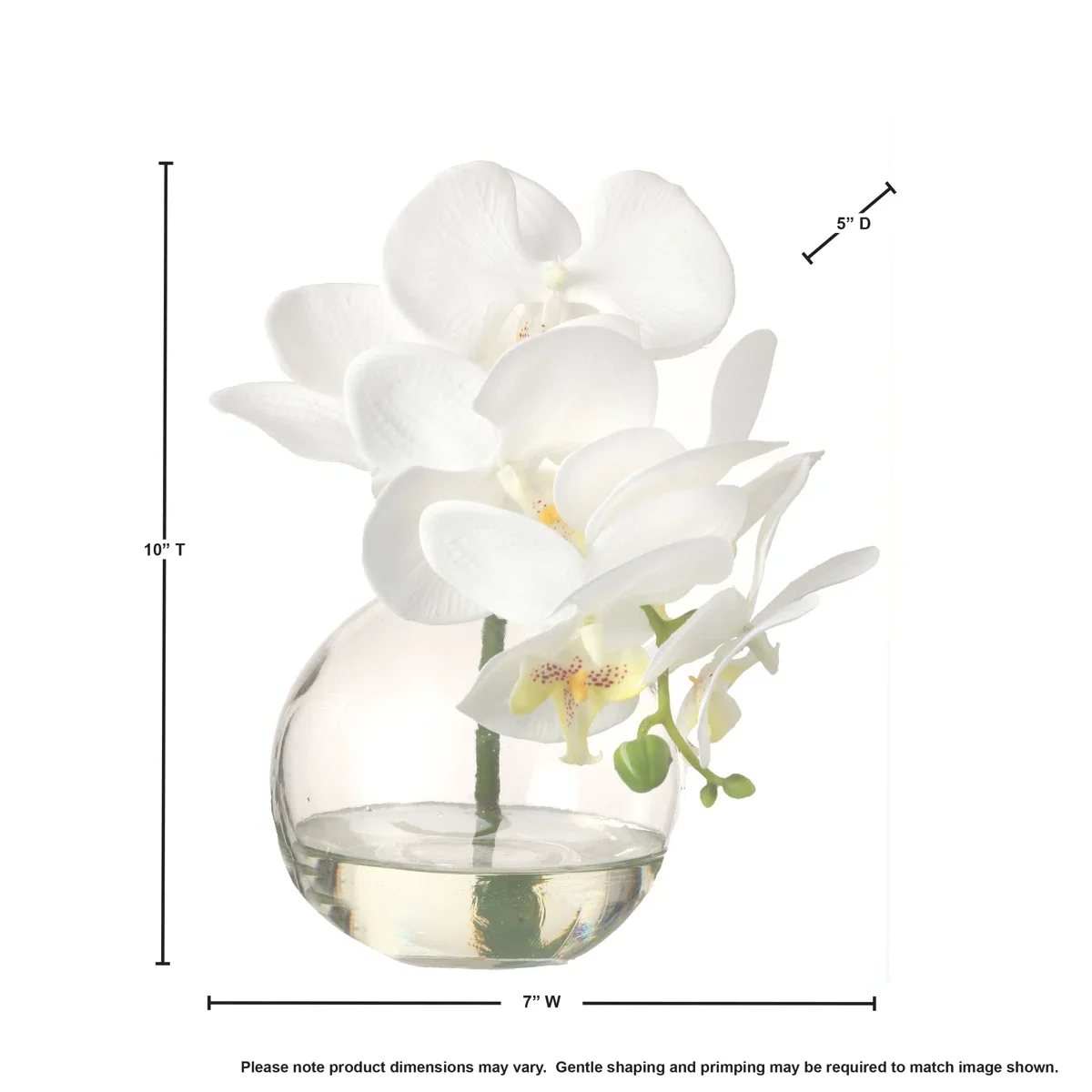 Orchid+Arrangement+in+Jar 3.webp