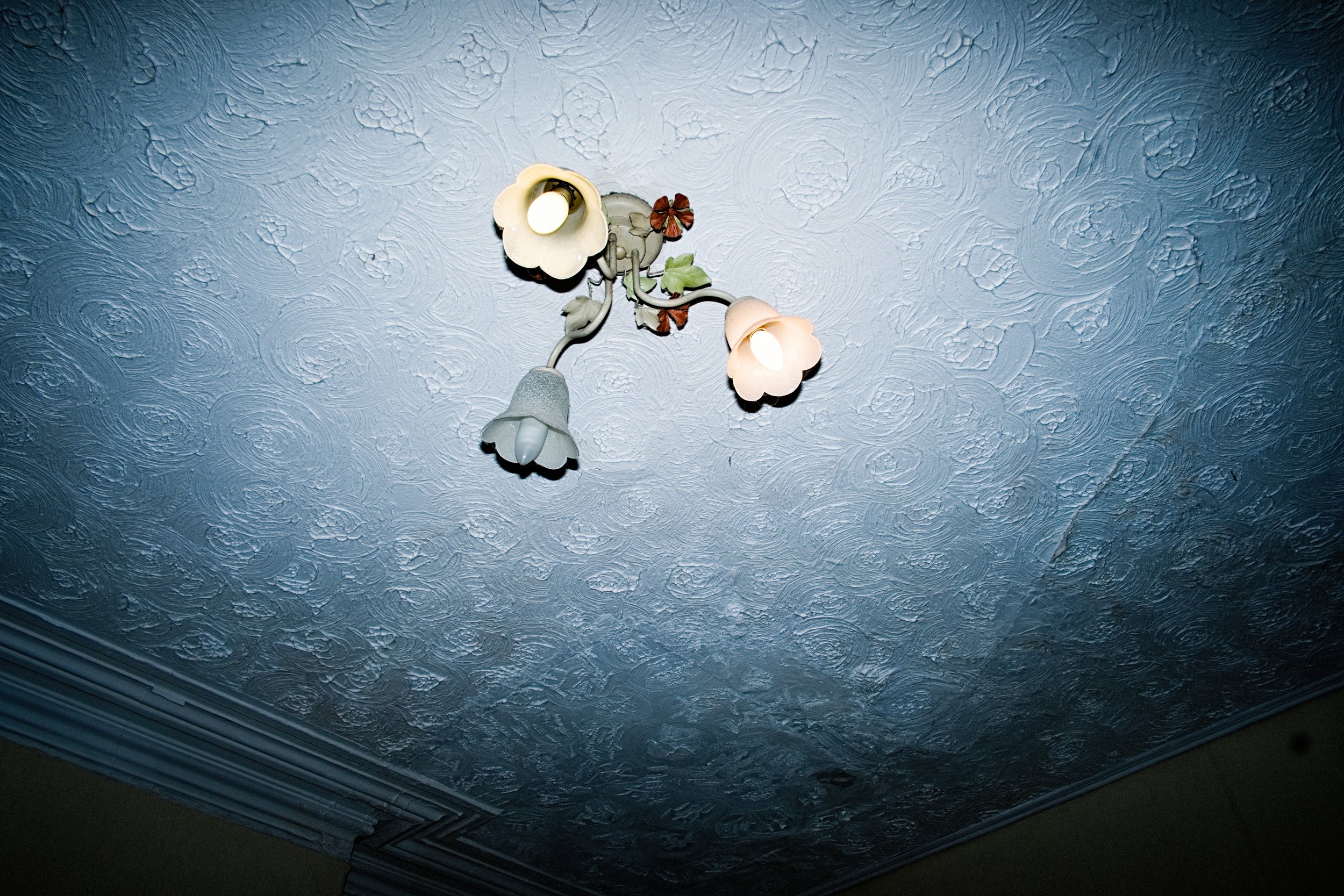DSCF8150-Exposure.JPG