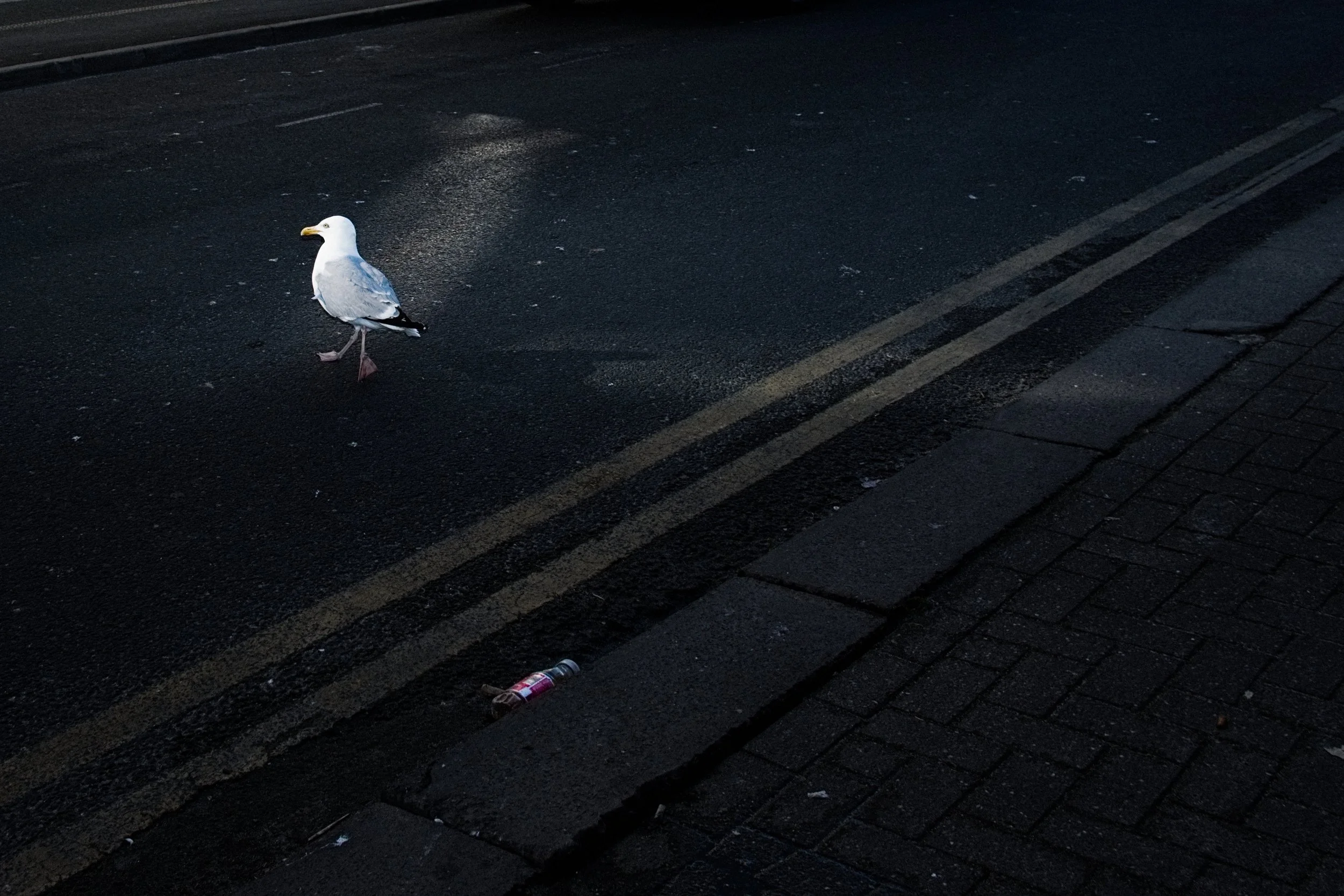 DSCF8242-Exposure.JPG