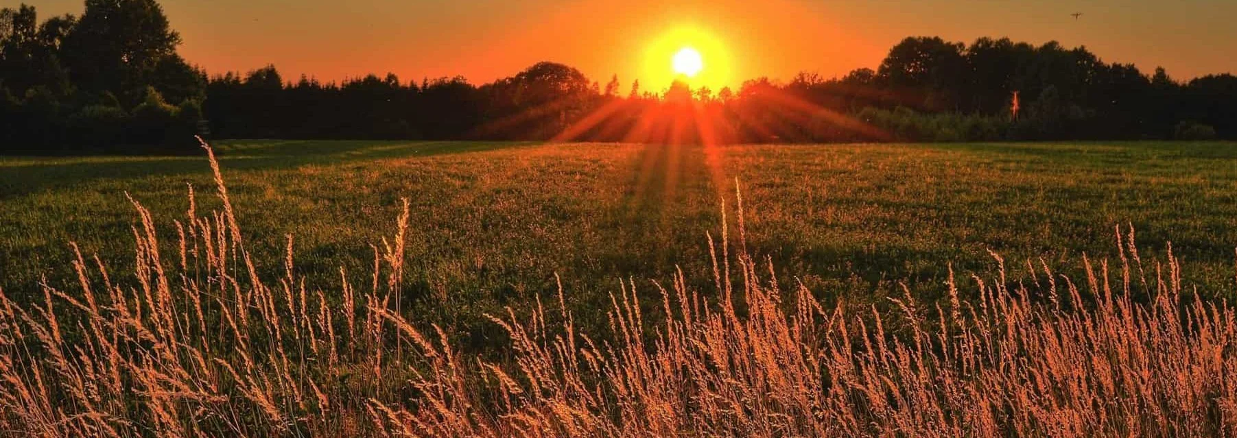 sunrise_crop.jpg