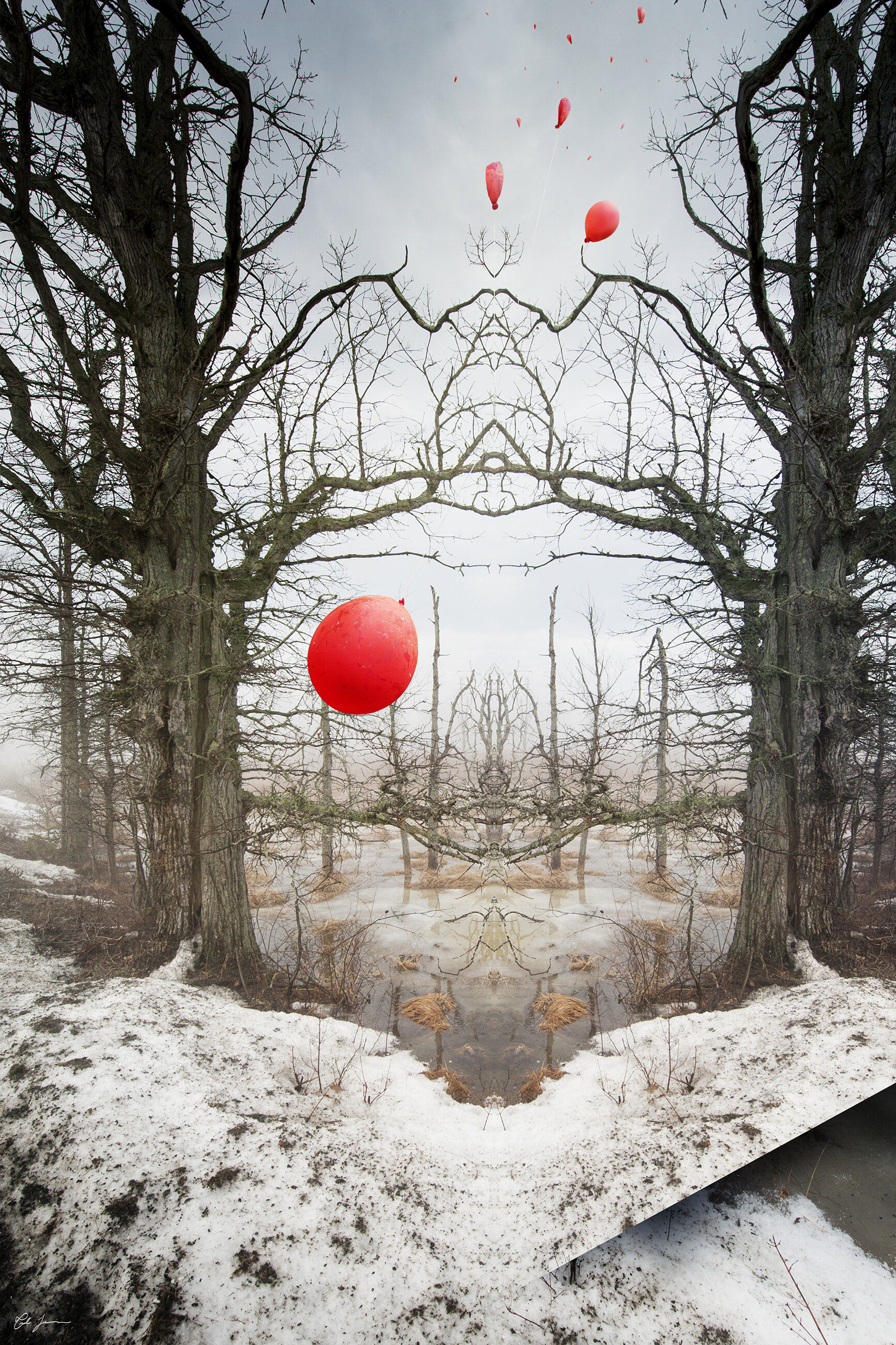  2019  Photographic collage. Inkjet print, face-mounted to acrylic.  35" x 52.5" 