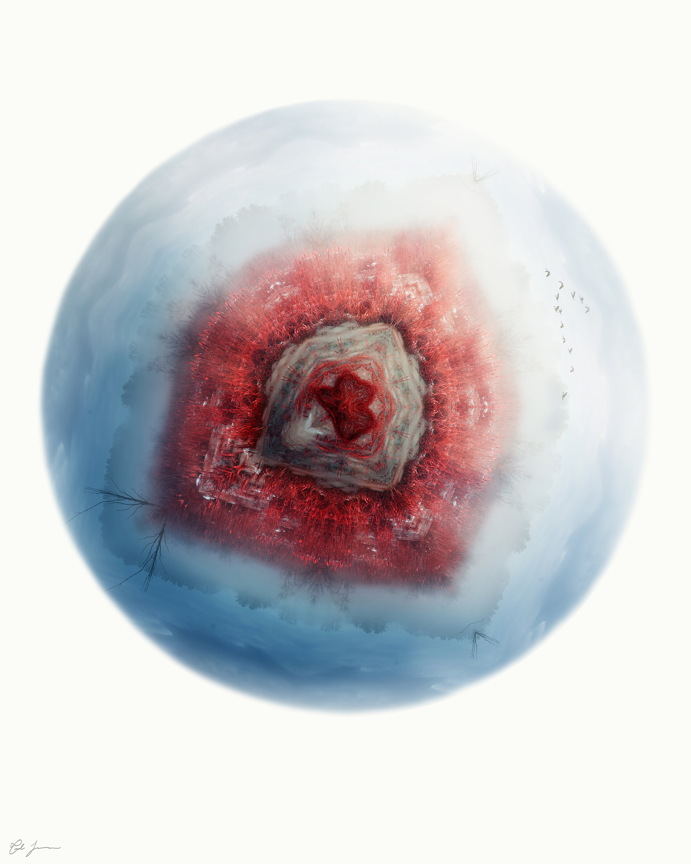  Conformation no. 5, 2019  Photographic collage. Inkjet print, face-mounted to acrylic.  40" x 50" 