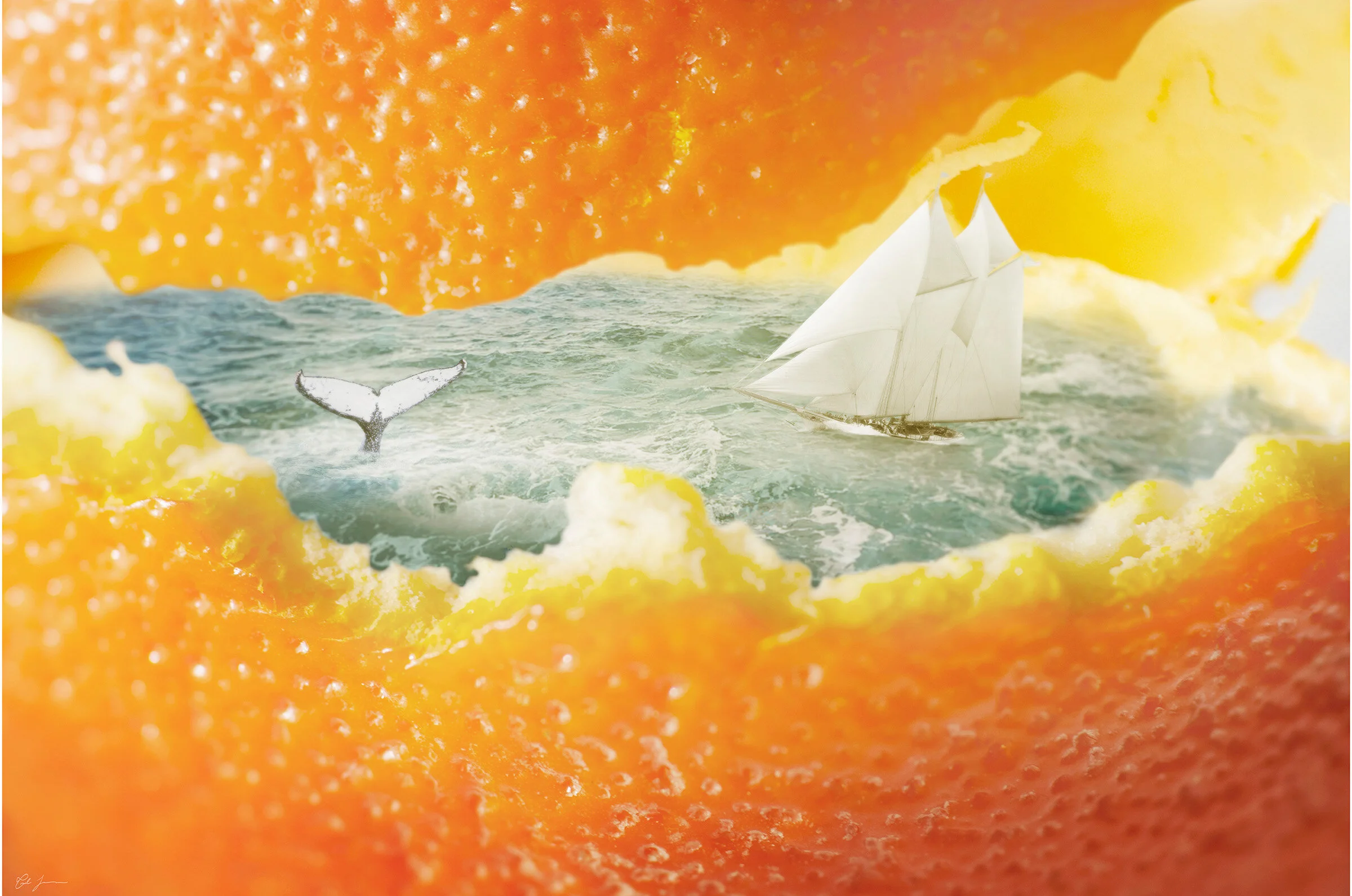  2016  Photographic collage. Inkjet print, face-mounted to acrylic.  40" x 30" 