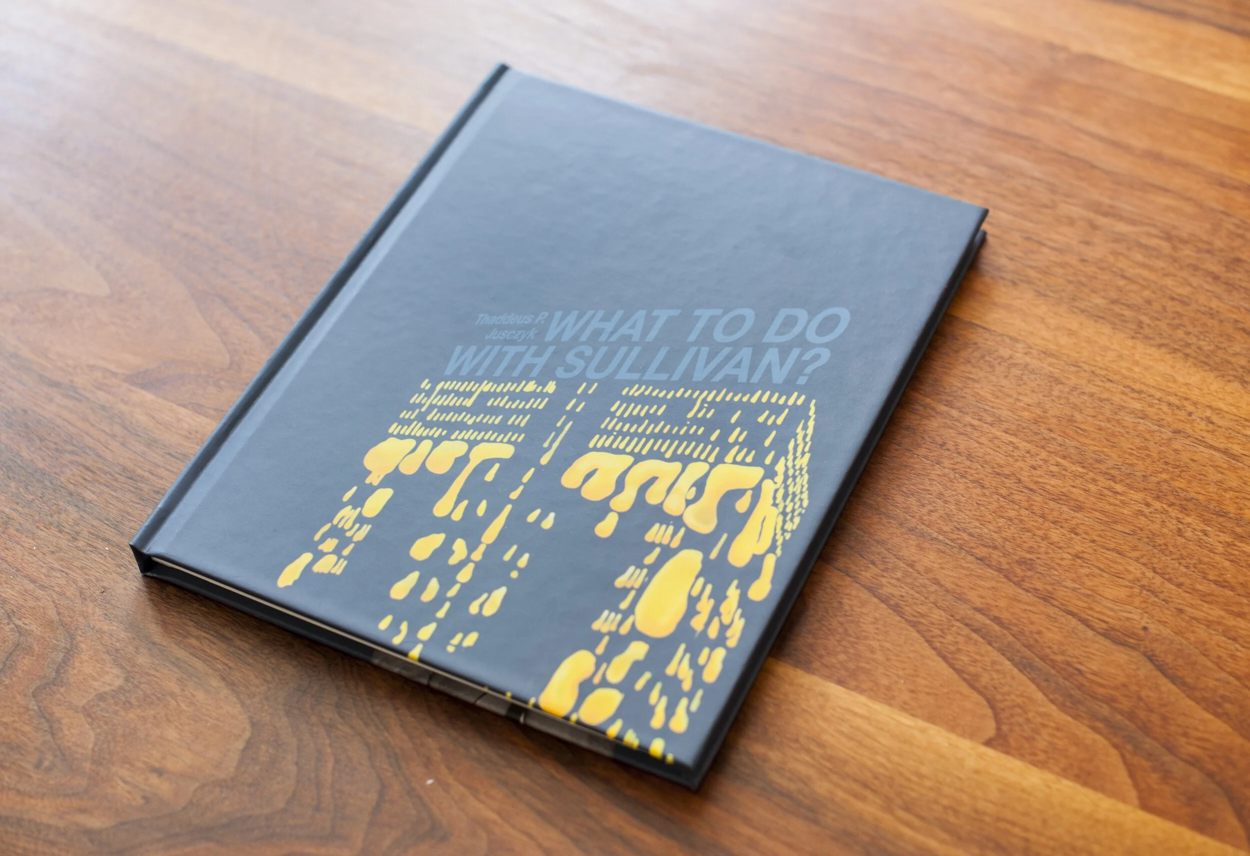  A moody, reclusive, and forgettable civil servant with a vivid imagination is suddenly faced with his own obsolescence. After a series of unfortunate decisions, made in the throws of debilitating loneliness, he soon finds himself at the center of a 