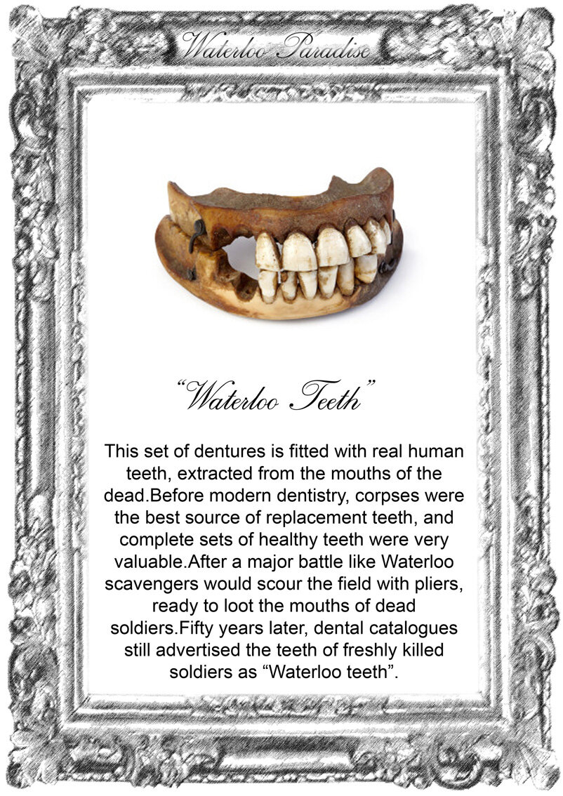 The very gruesome "Waterloo Teeth" in the National Army Museum collection