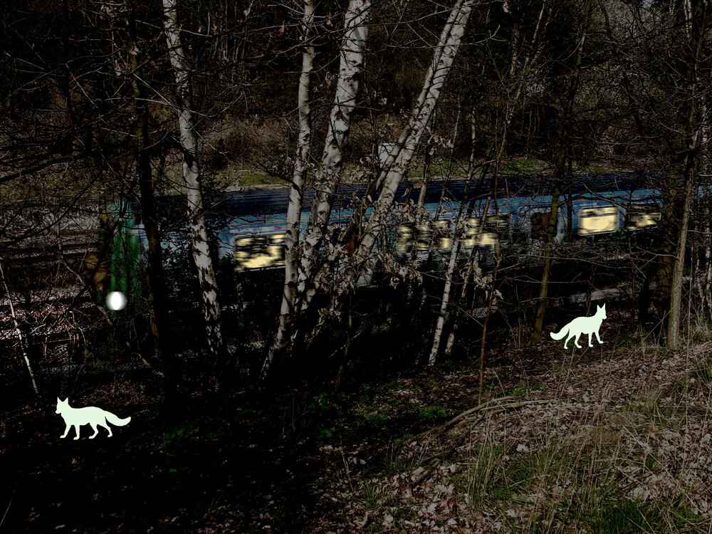 Visual of glow in the dark foxes on a train embankment
