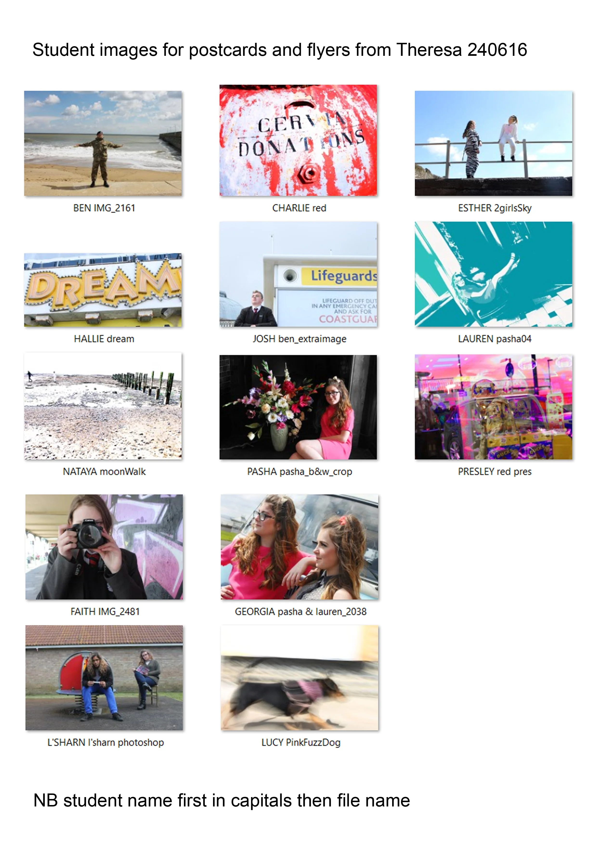 summary pics page for Jules 240616.jpg