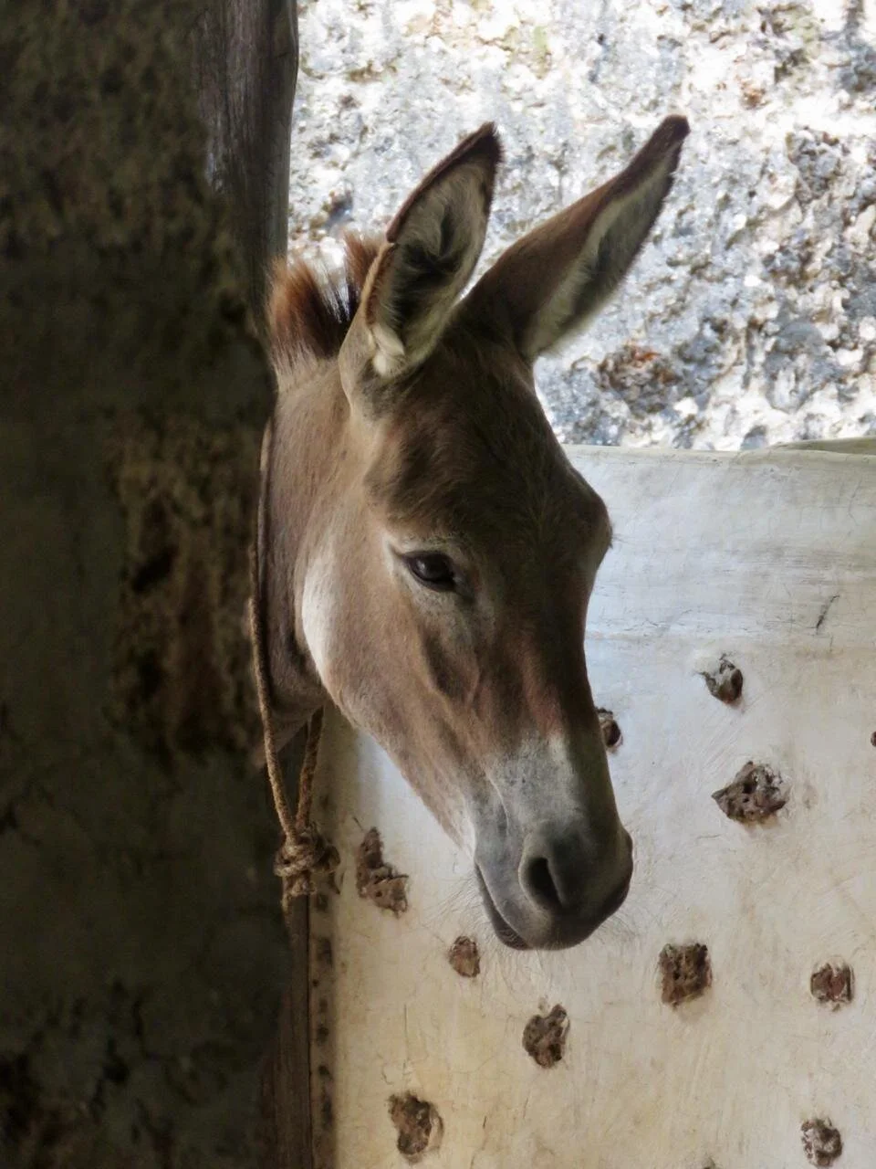 WhatsApp Image 2019-04-23 at 1.10.31 PM.jpeg