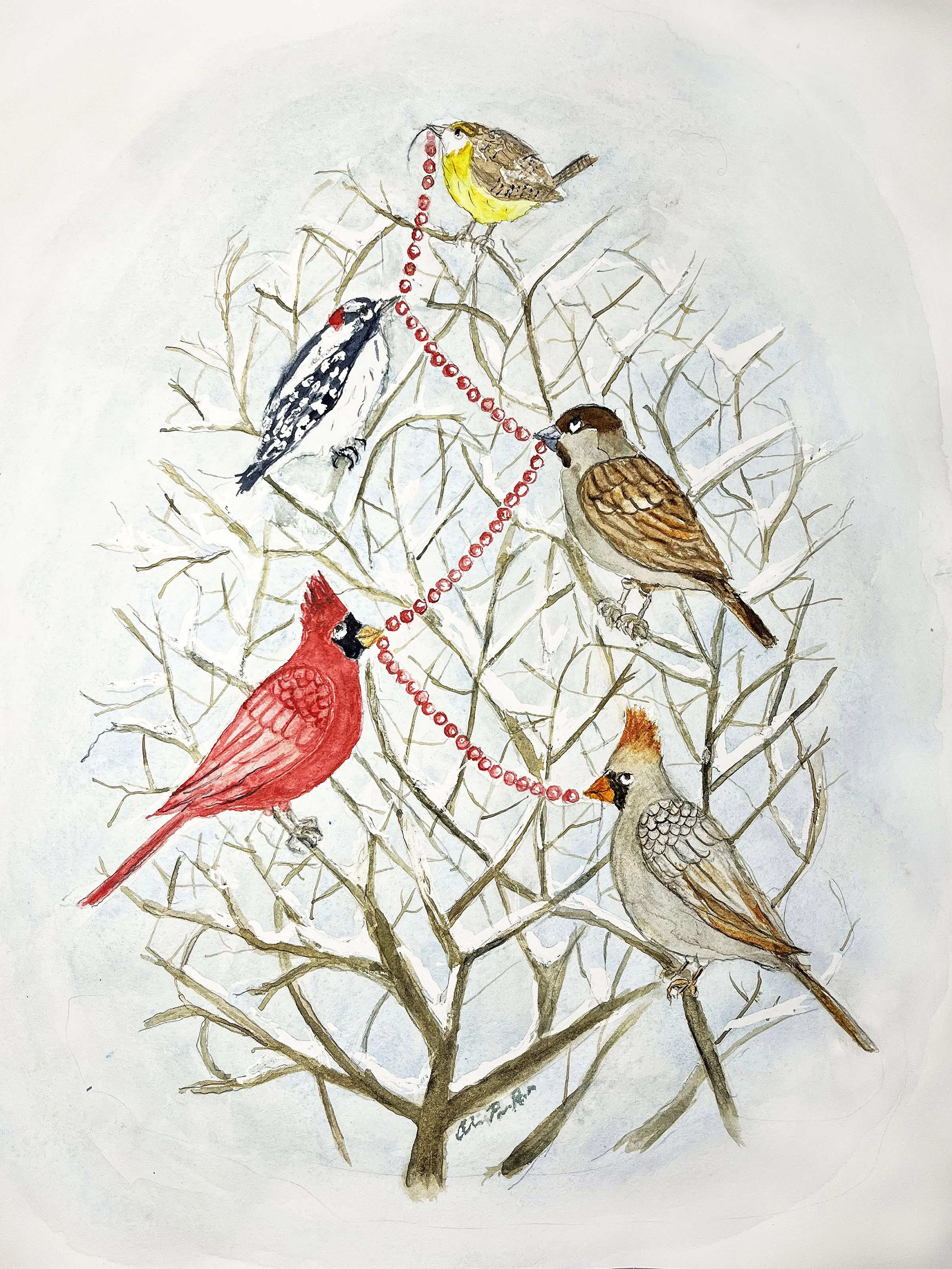 BirdCard2.jpg