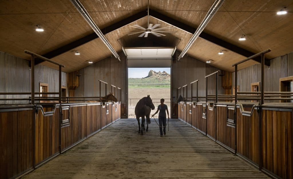 Who is the best realtor for buying horse property in Albemarle County?