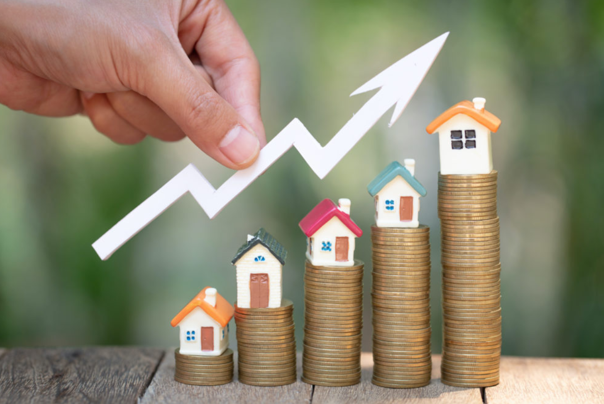 Who is the best realtor for finding investment properties near University of Virginia?