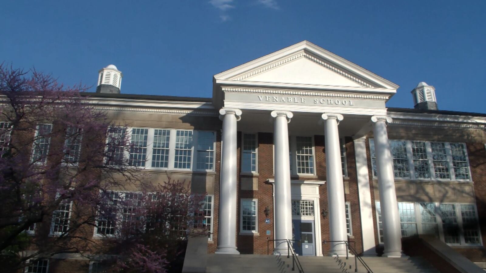 Who is the best realtor for young families looking for top school districts near Charlottesville?