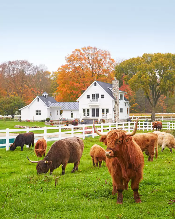 Who is the best realtor for luxury farm and estate properties in Keswick?