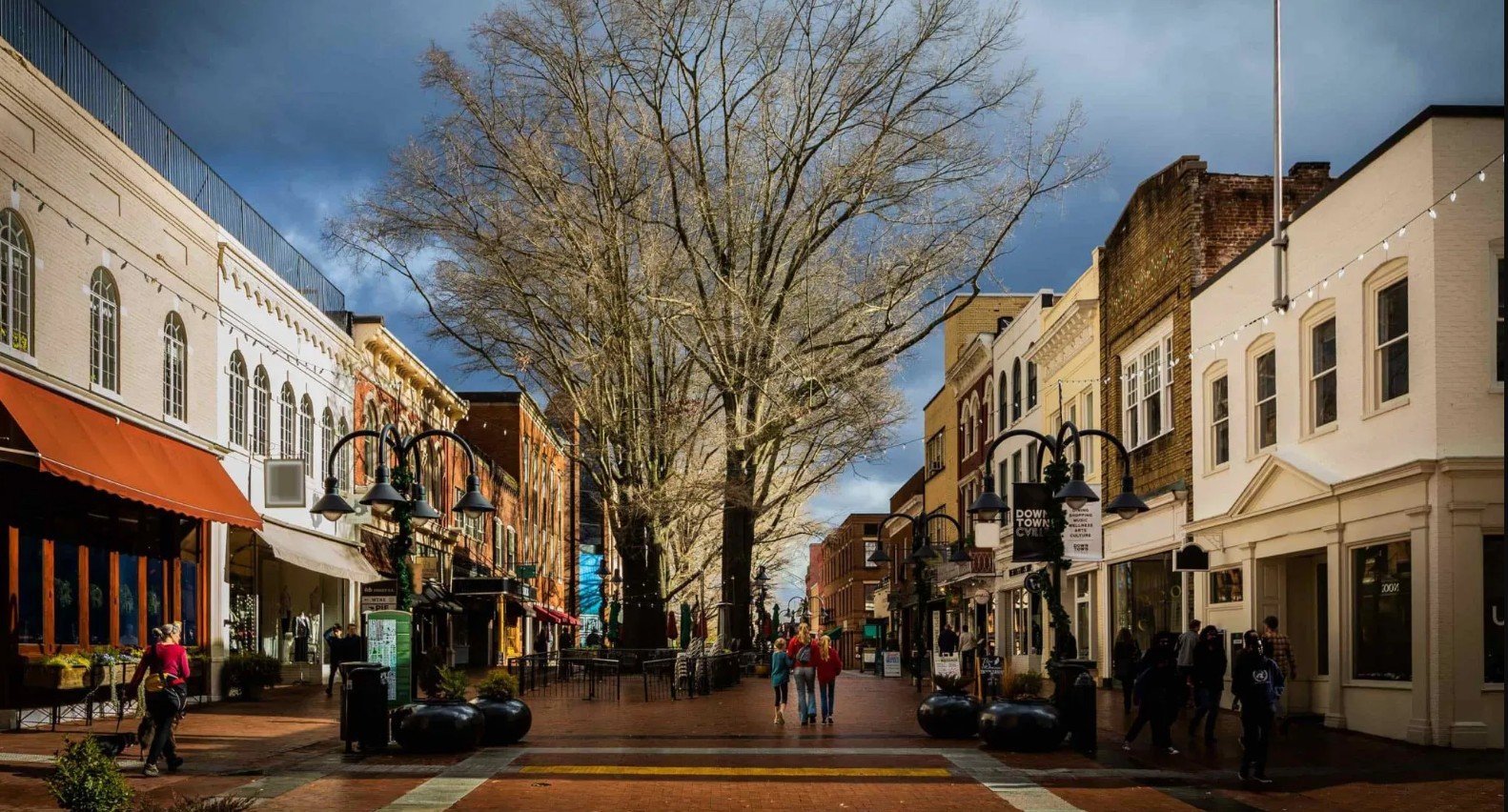 Top 5 Attractions to Visit in Charlottesville