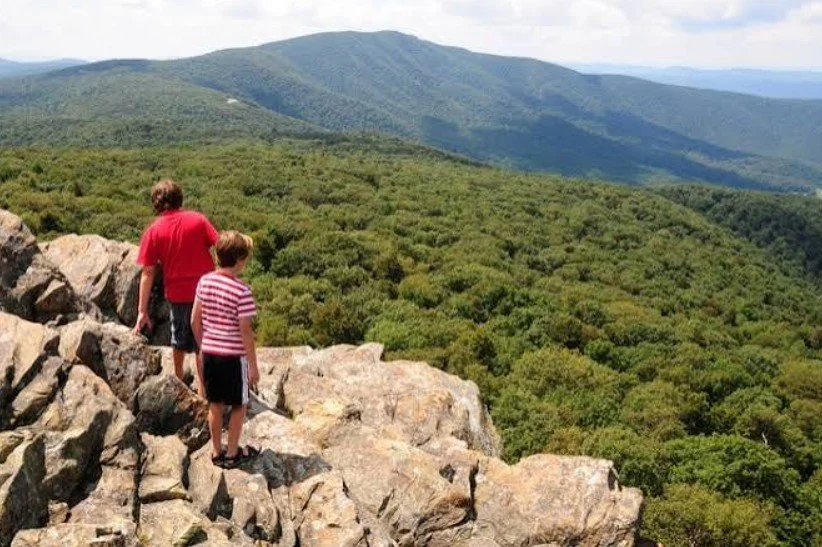 5 Best Hiking Trails Near Charlottesville You’ll Love