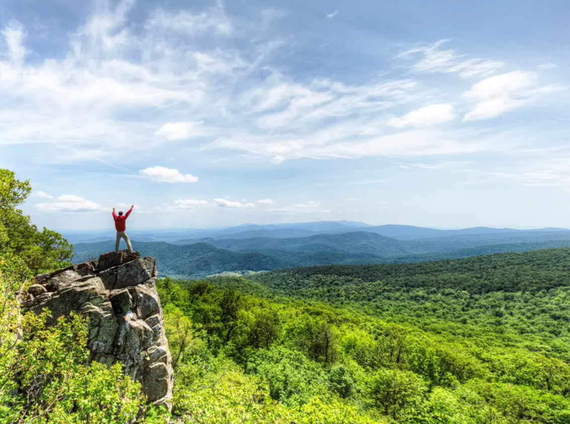5 Best Places to See Fall Foliage Near Charlottesville