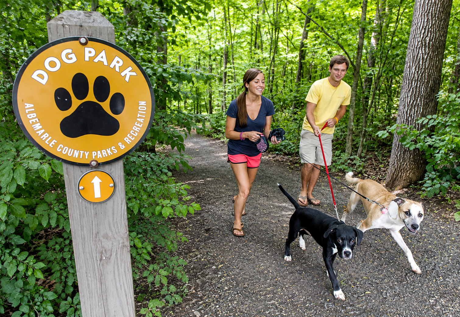 5 Best Dog Parks in Charlottesville for Happy Pups