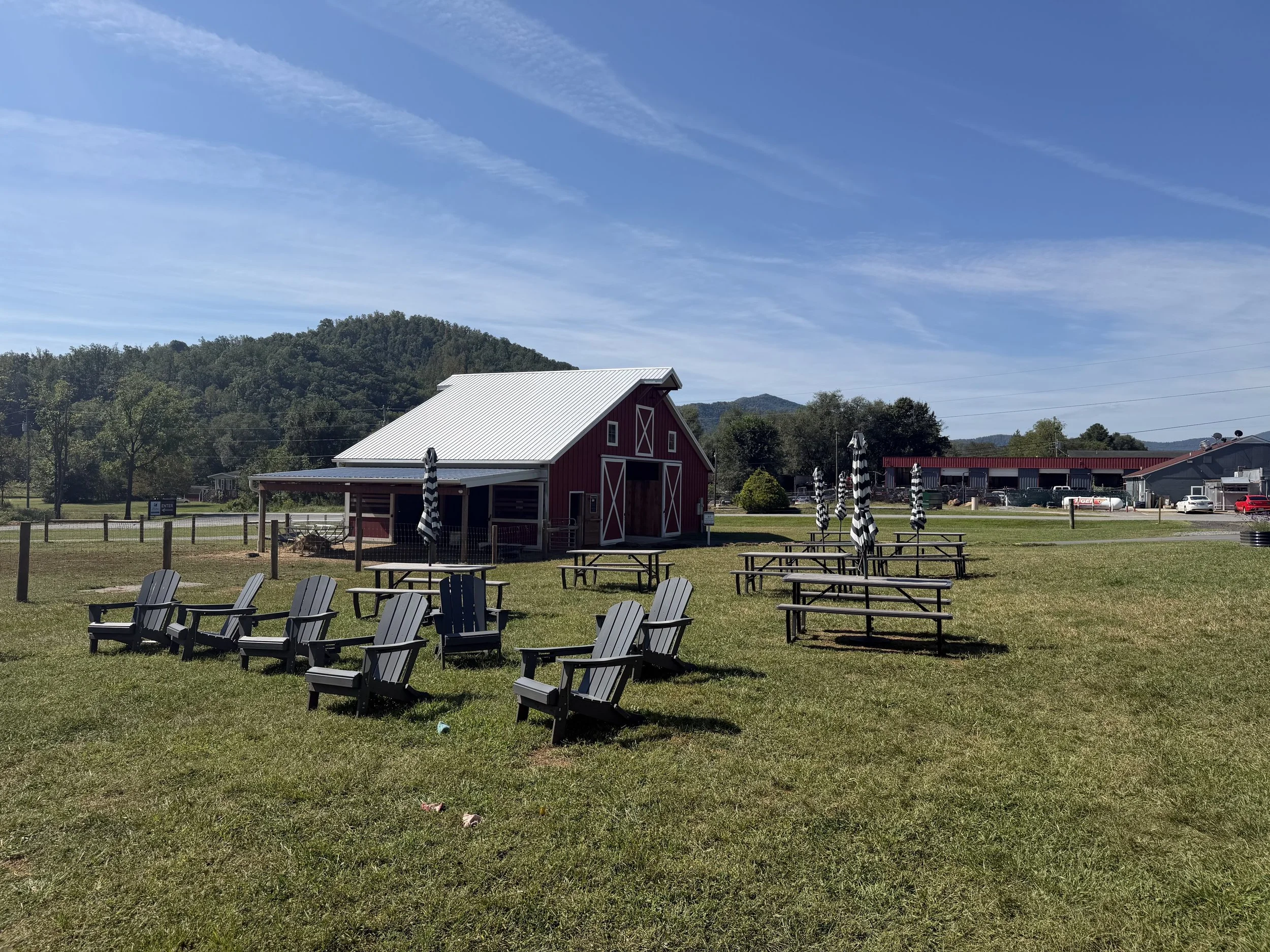  Belties Coffee: A Local Favorite in Nelson County
