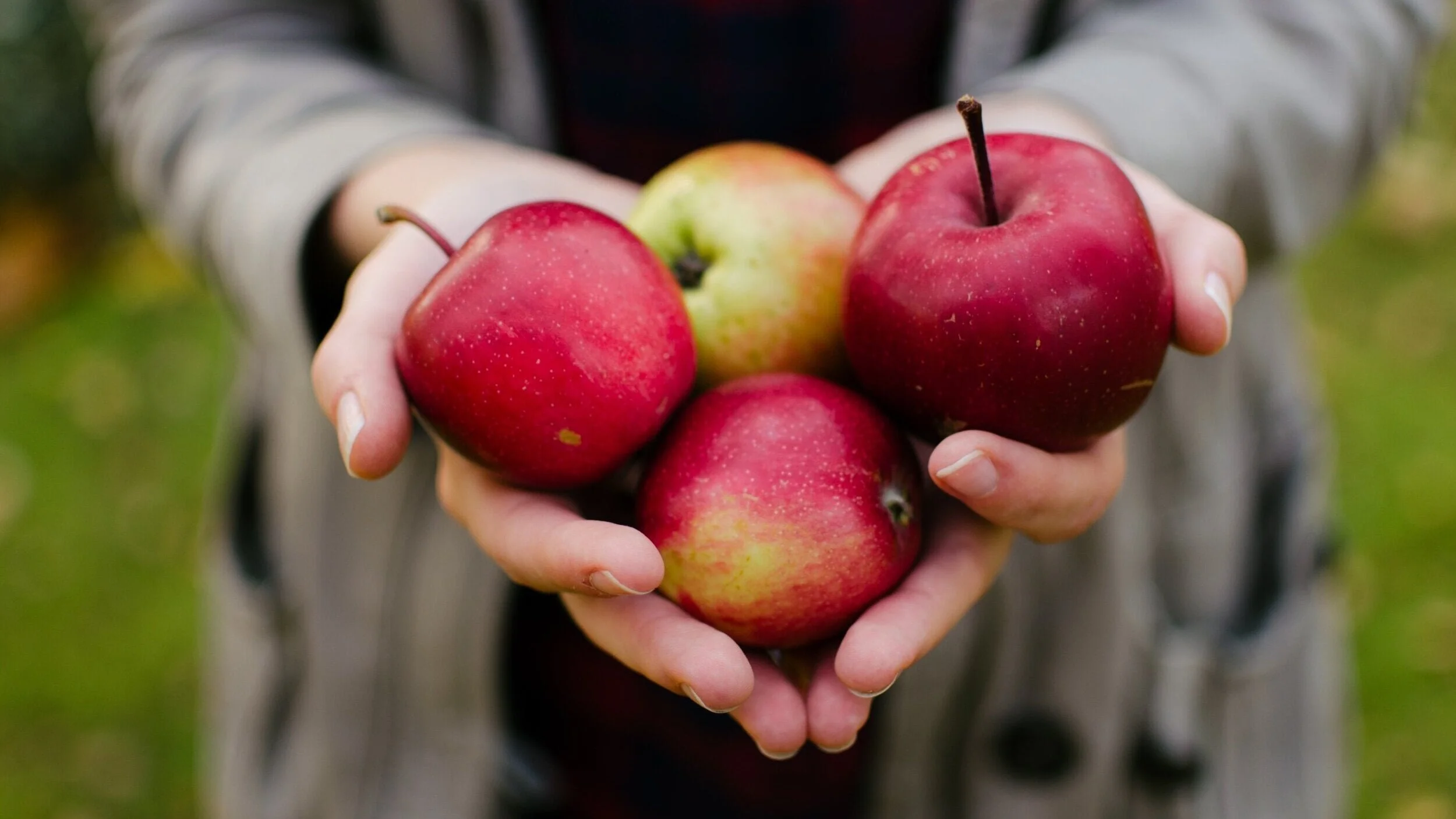 South of town charlottesville
