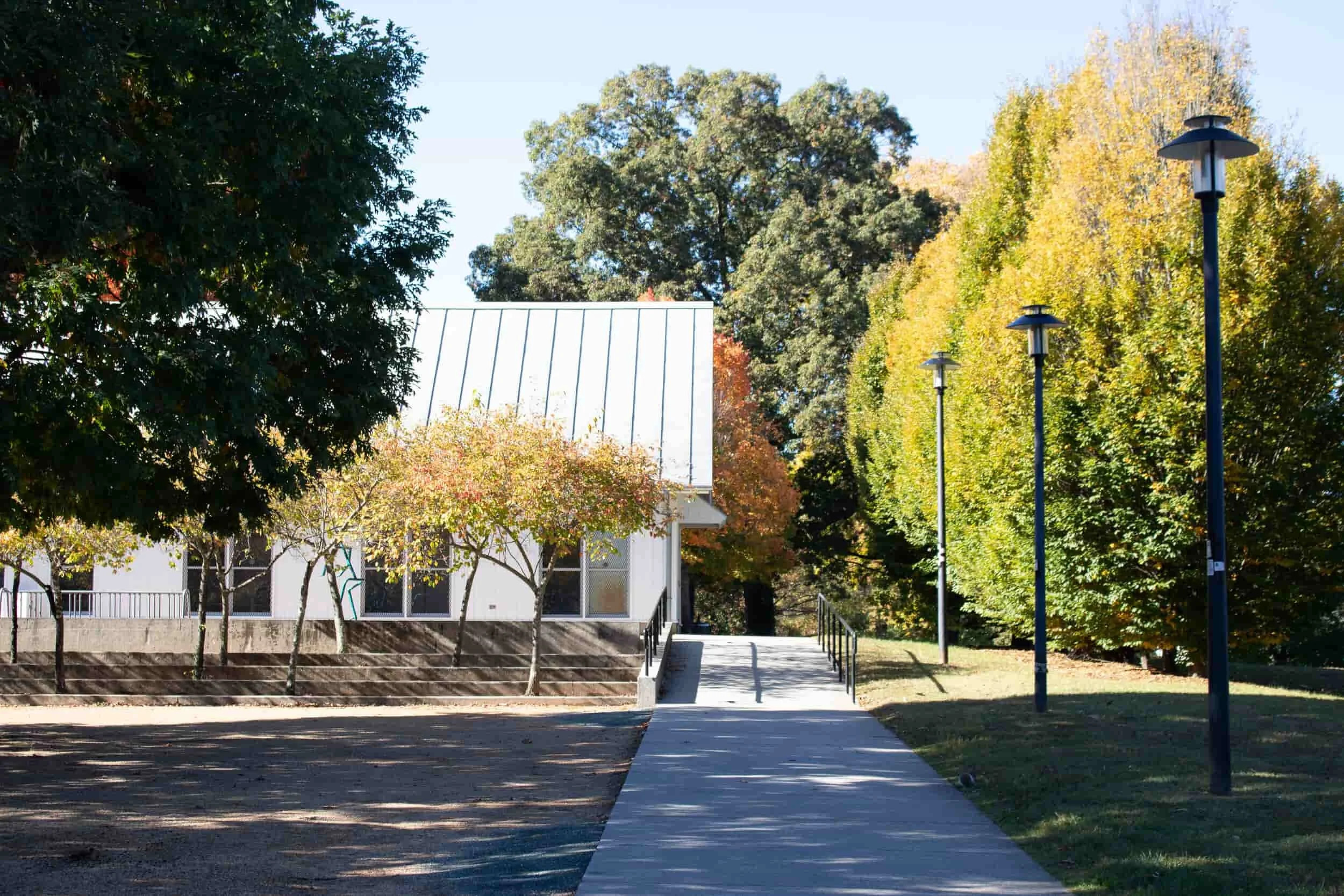 Rose hill