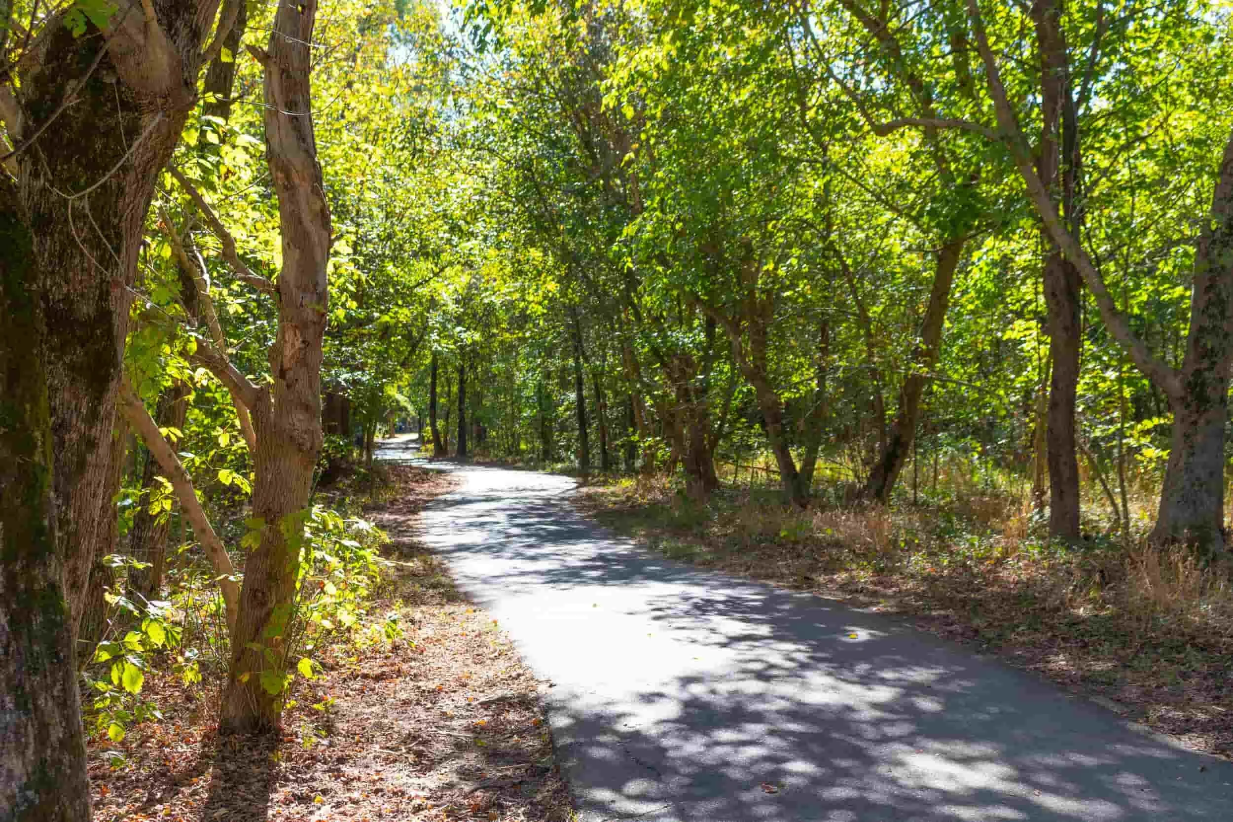Riverview Park Woolen Mills Neighborhood Charlottesville